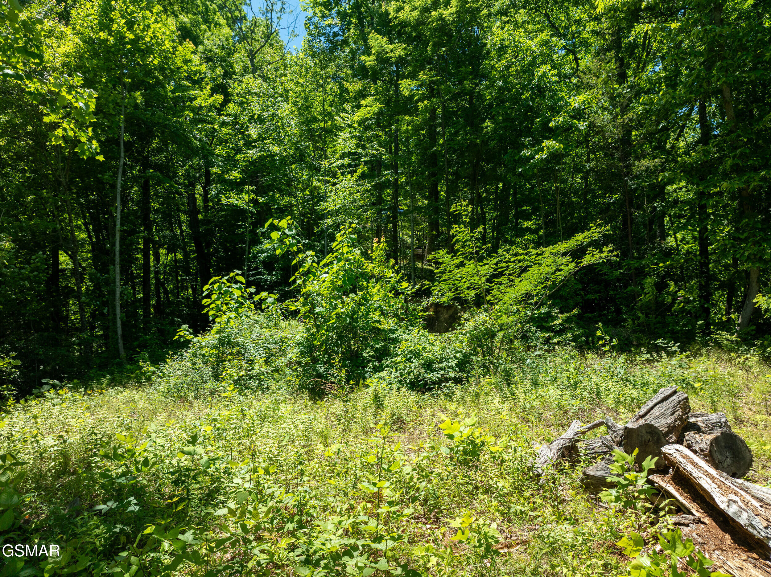 811 San Remo Drive Gatlinburg TN 37738