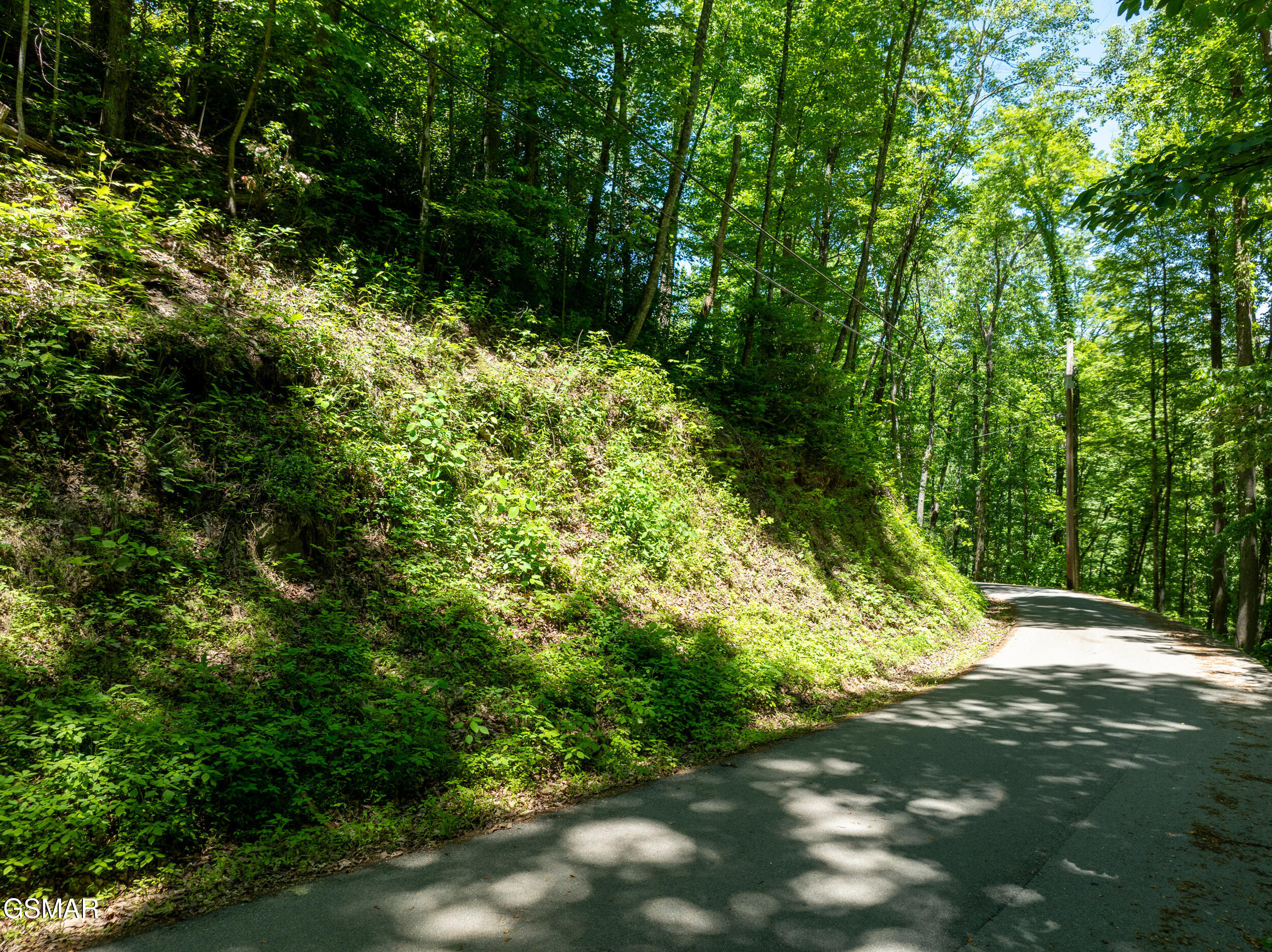 811 San Remo Drive Gatlinburg TN 37738