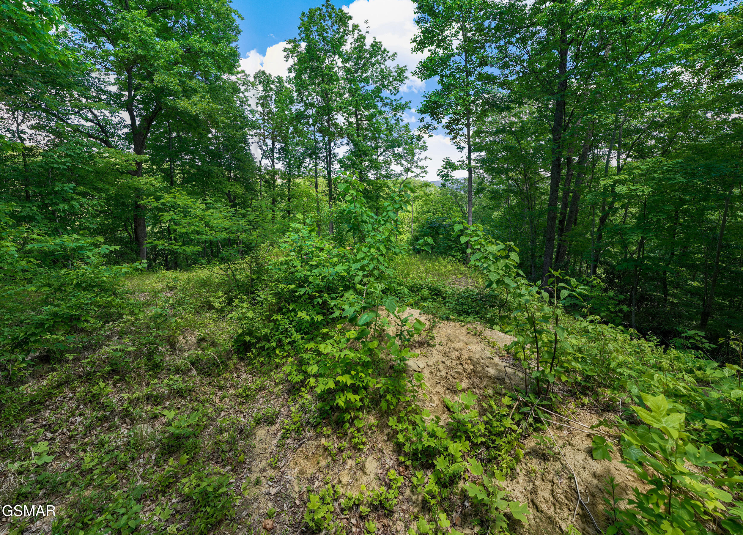 811 San Remo Drive Gatlinburg TN 37738