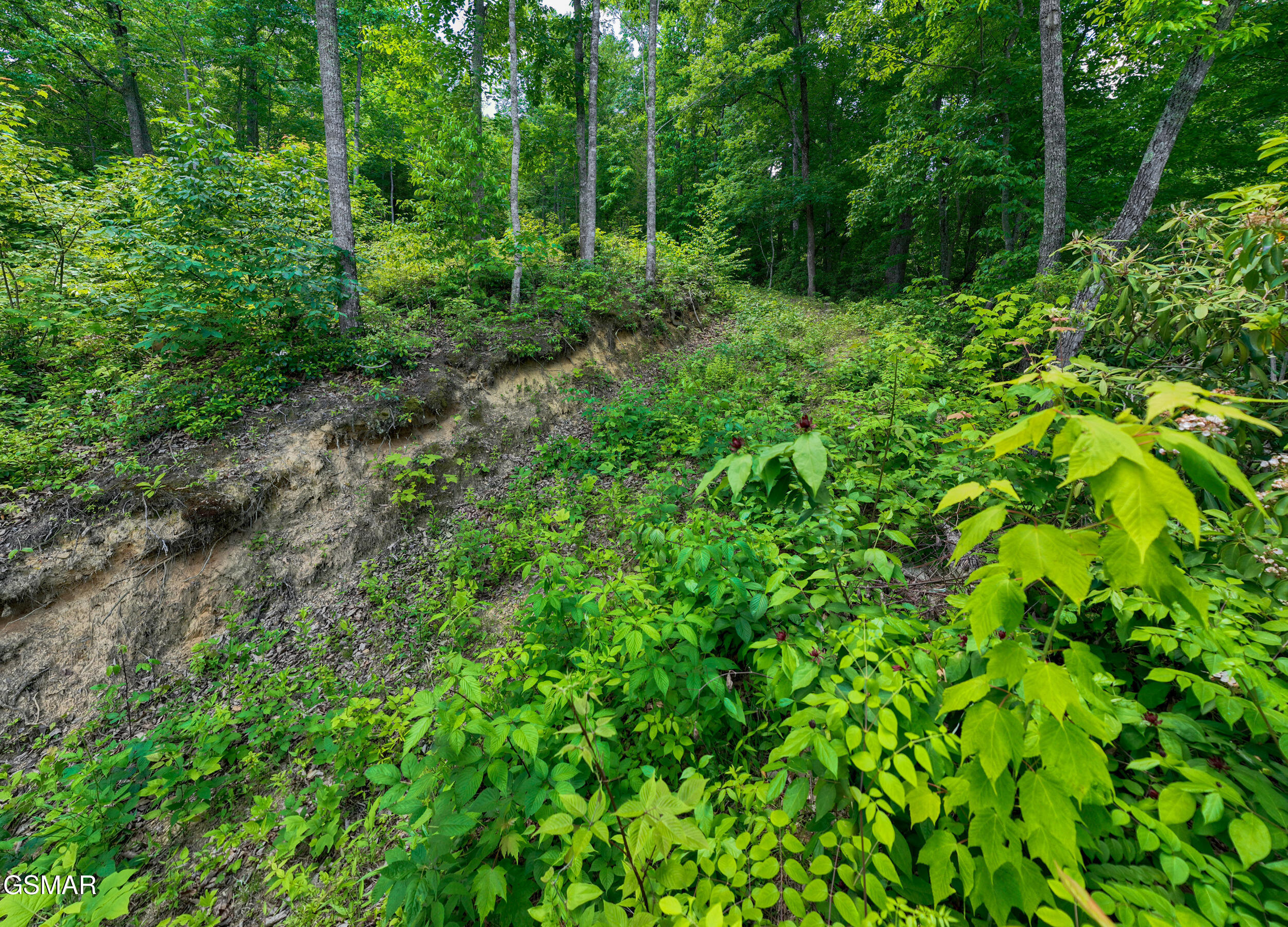 811 San Remo Drive Gatlinburg TN 37738
