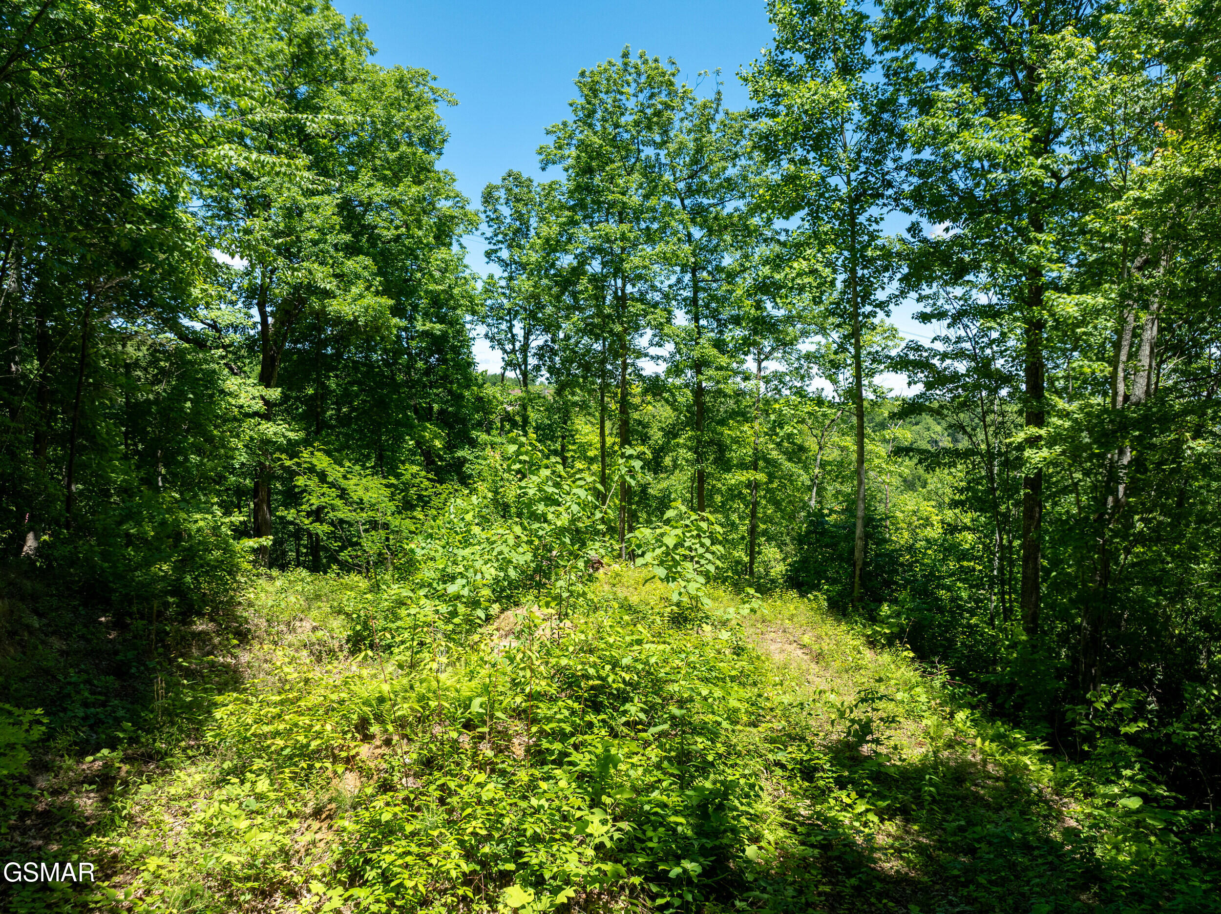 811 San Remo Drive Gatlinburg TN 37738