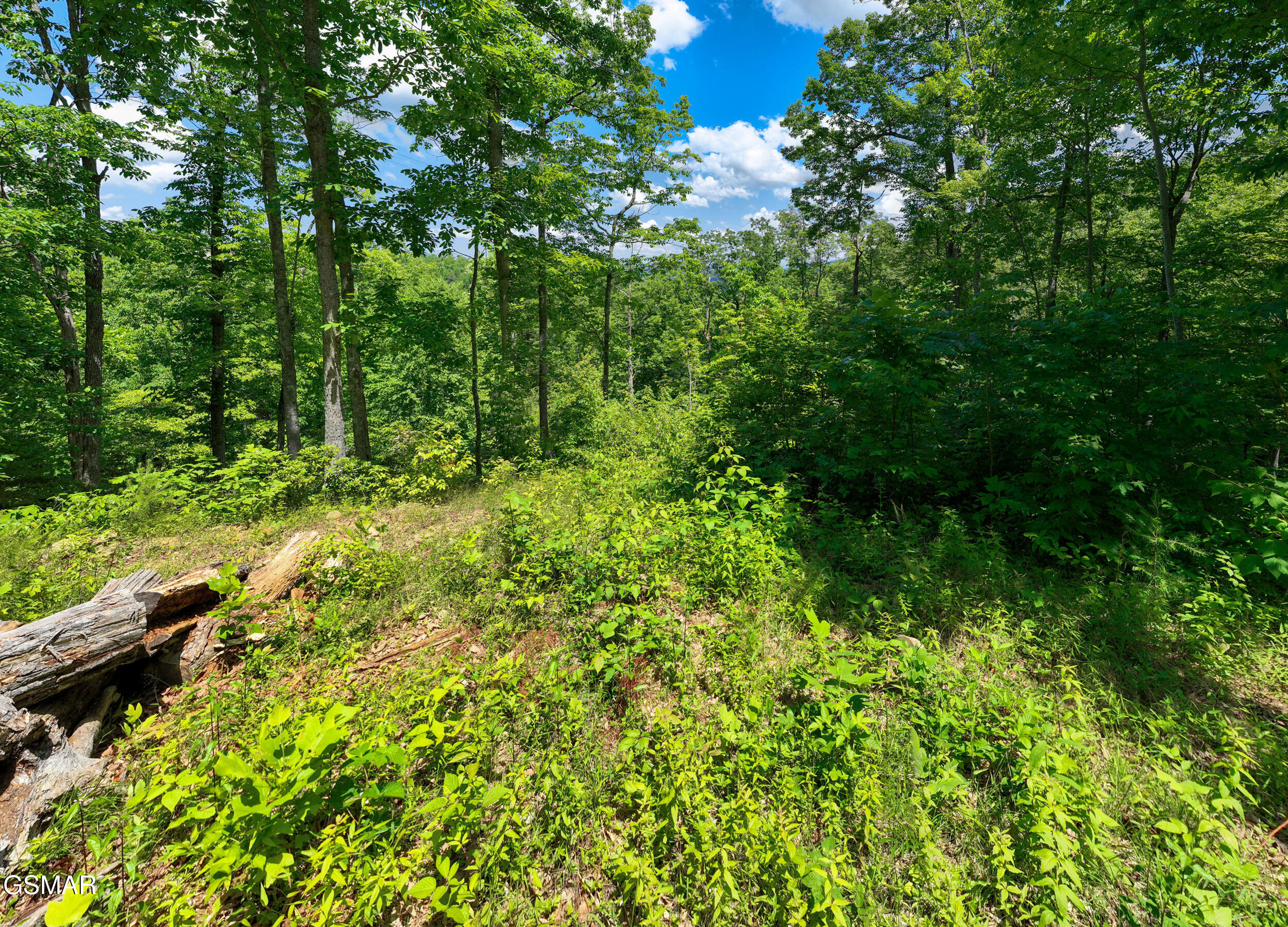 811 San Remo Drive Gatlinburg TN 37738