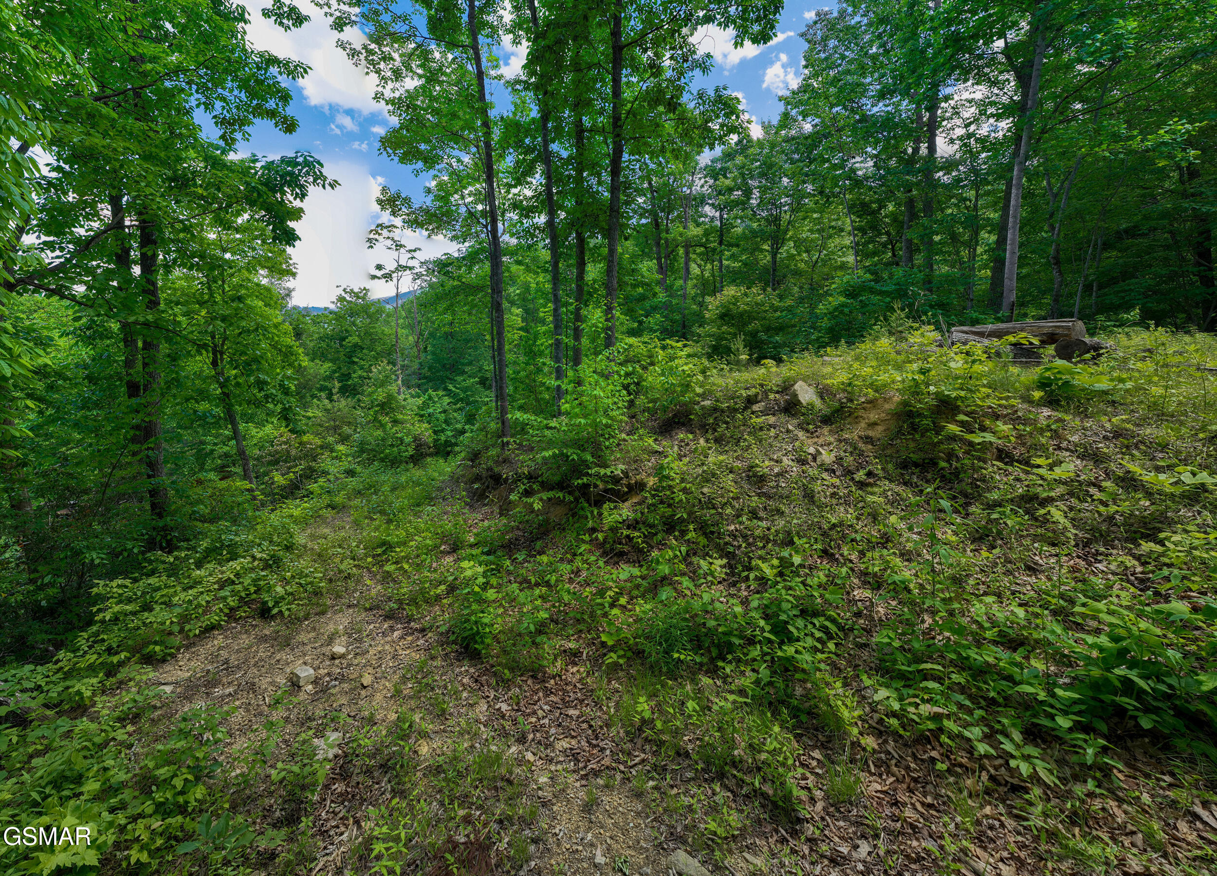 811 San Remo Drive Gatlinburg TN 37738
