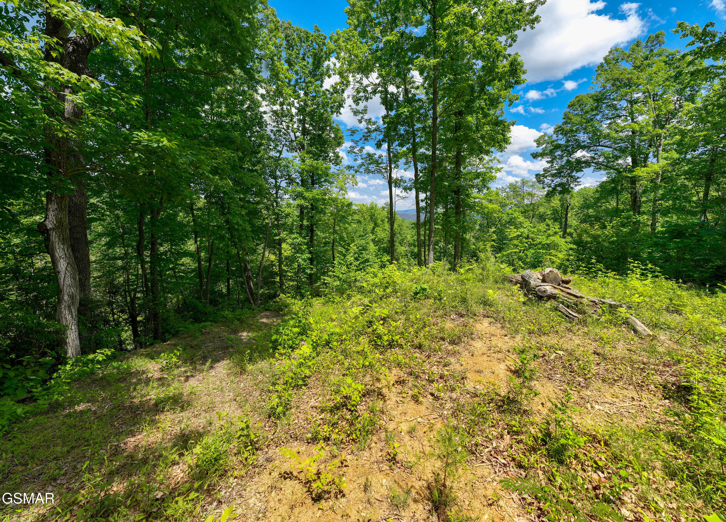 811 San Remo Drive Gatlinburg TN 37738