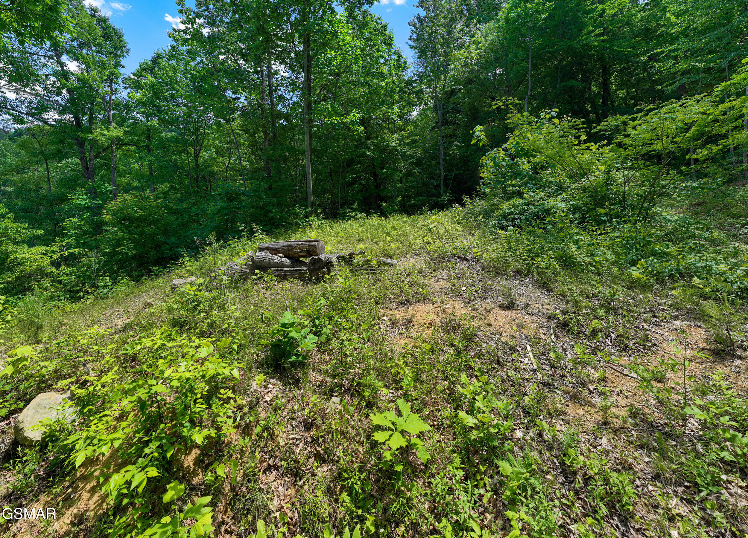 811 San Remo Drive Gatlinburg TN 37738