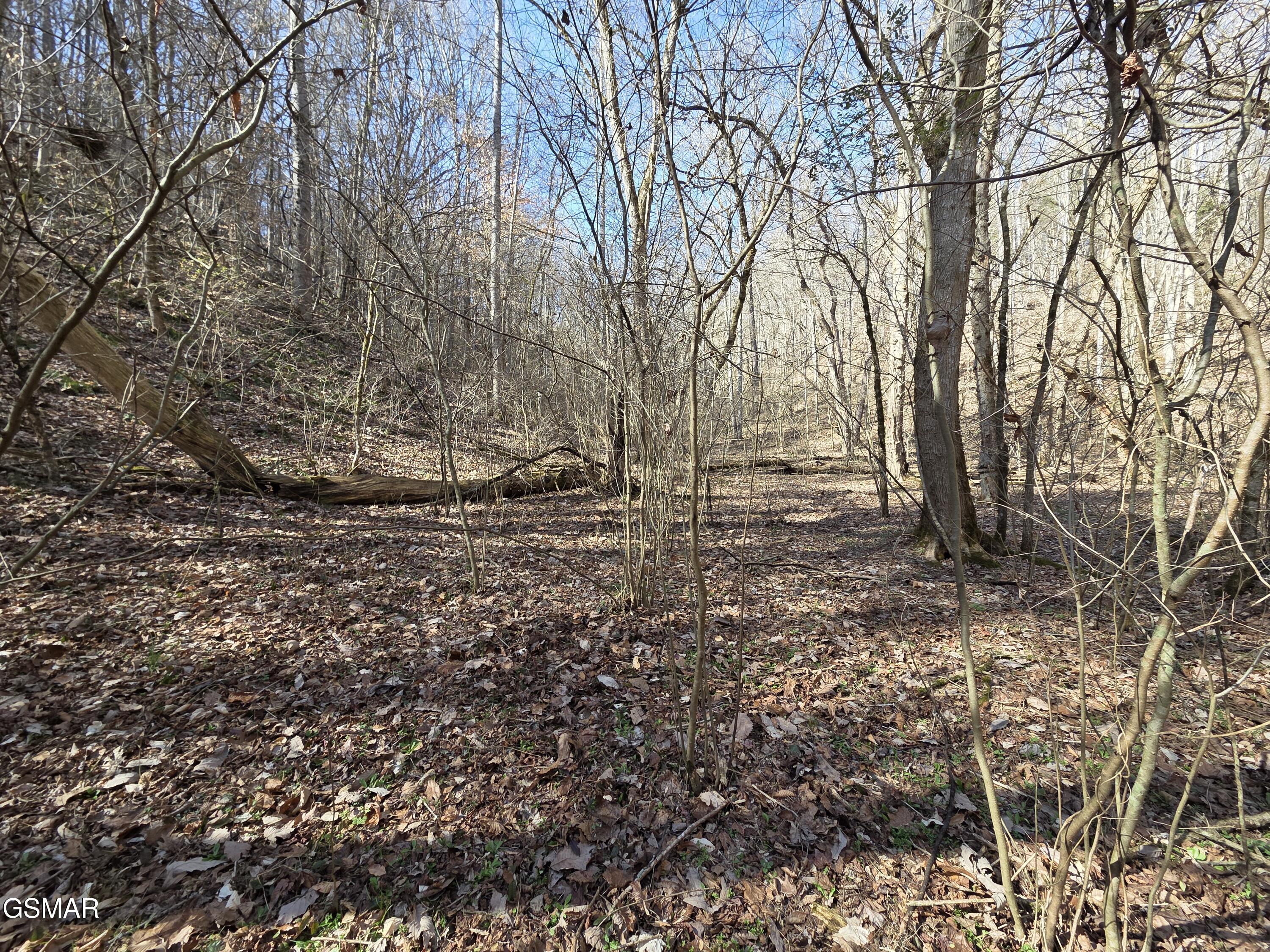 - Baysinger Road Newport TN 37821