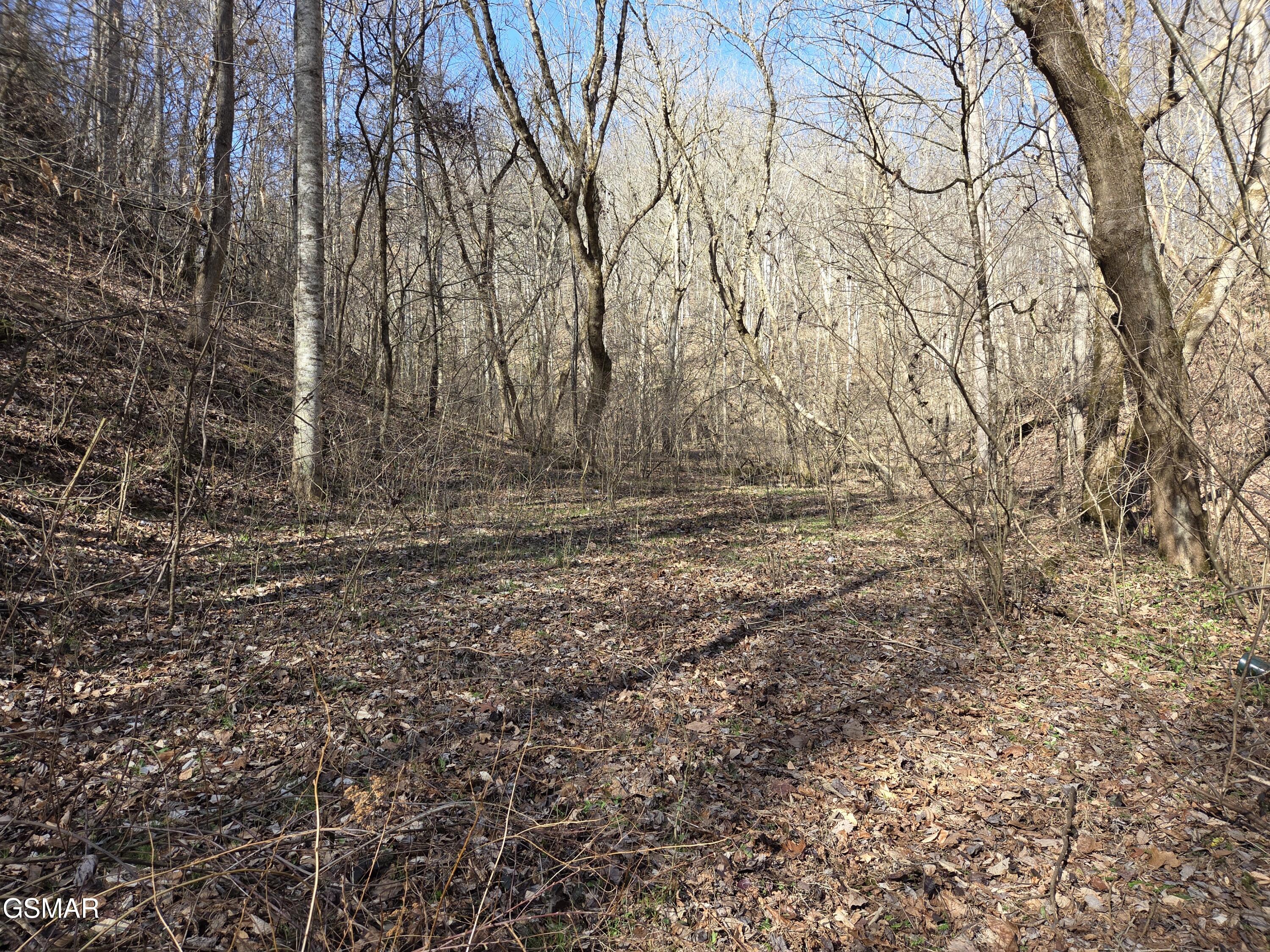 - Baysinger Road Newport TN 37821