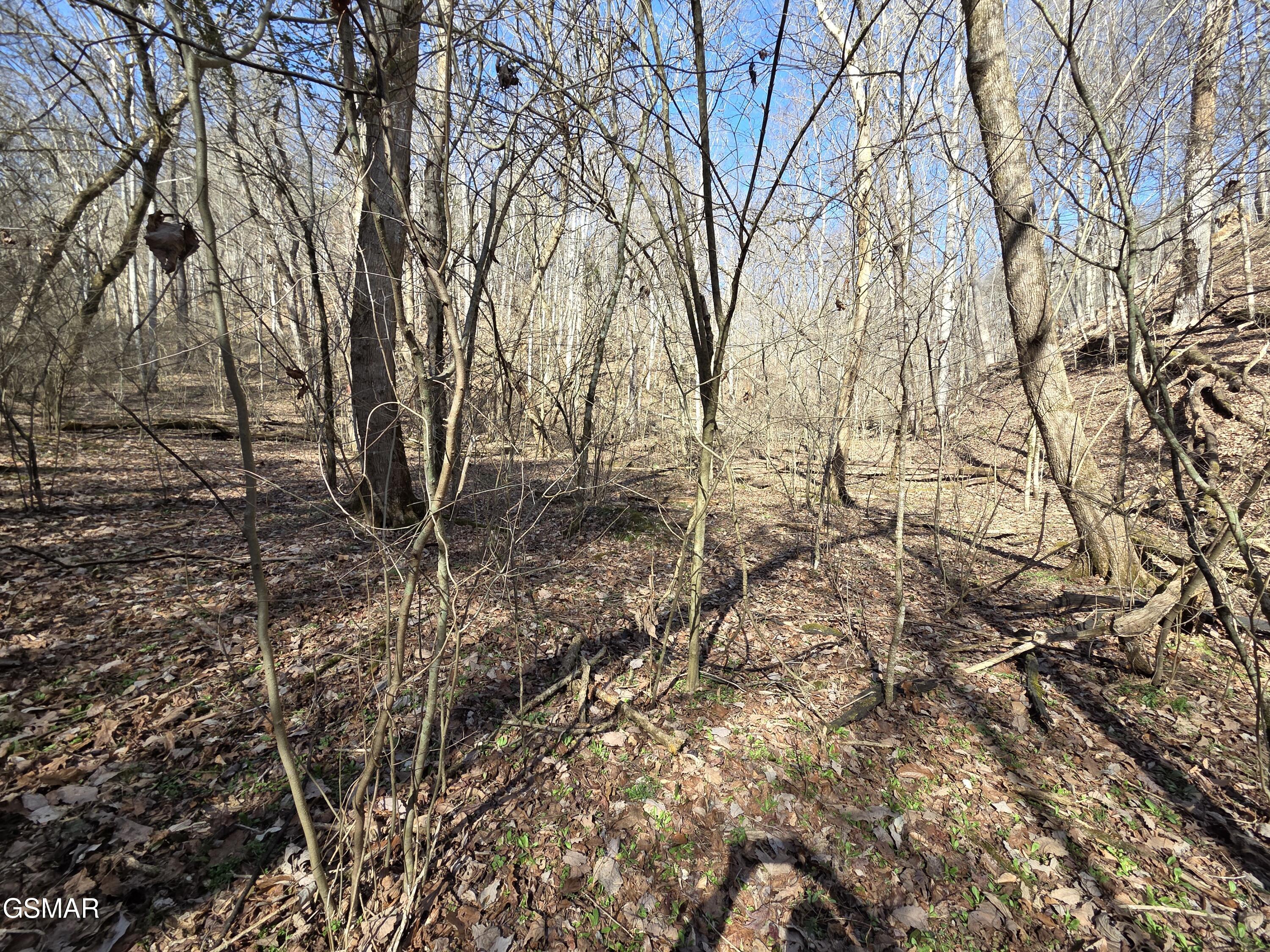- Baysinger Road Newport TN 37821