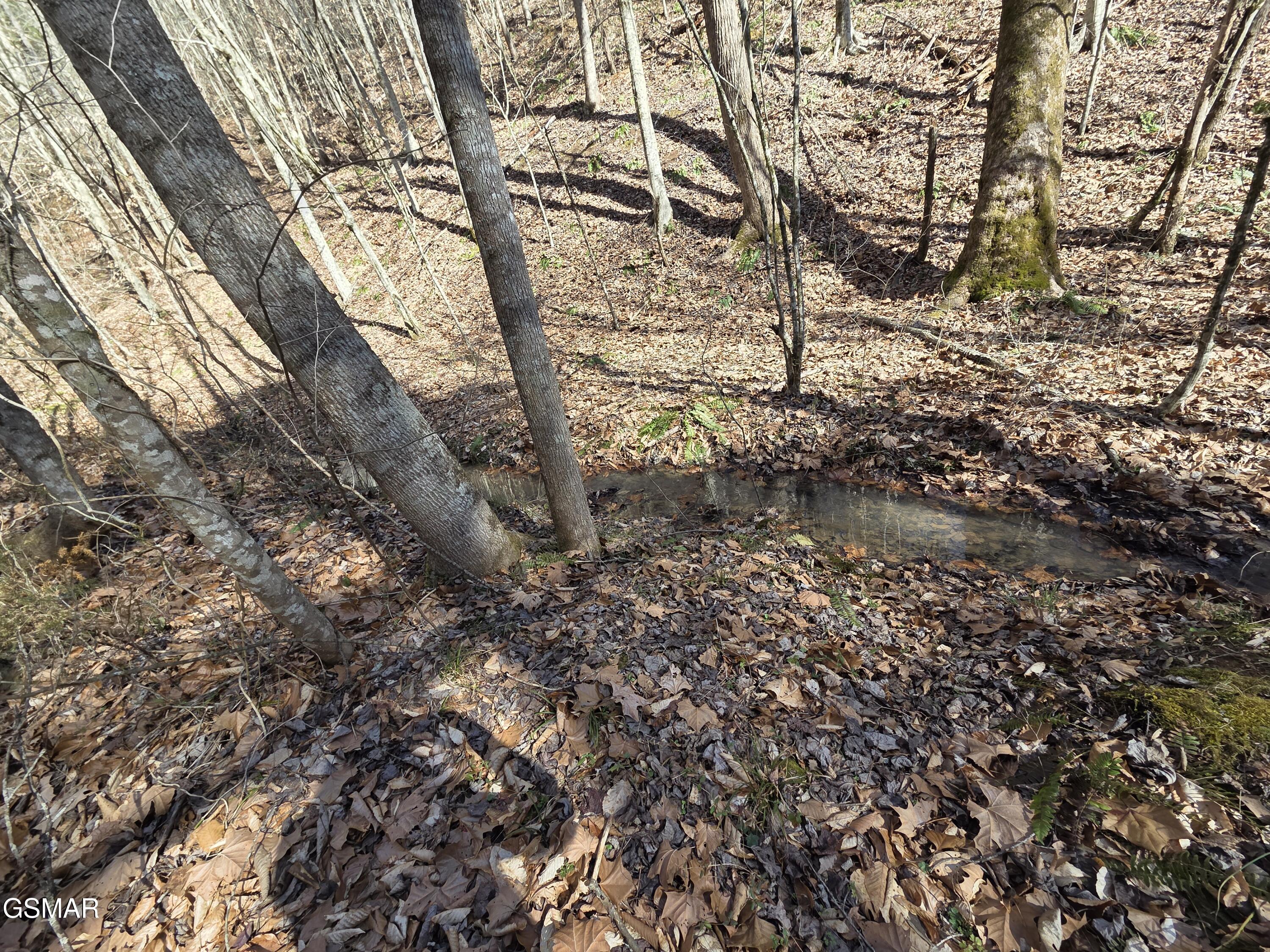 - Baysinger Road Newport TN 37821