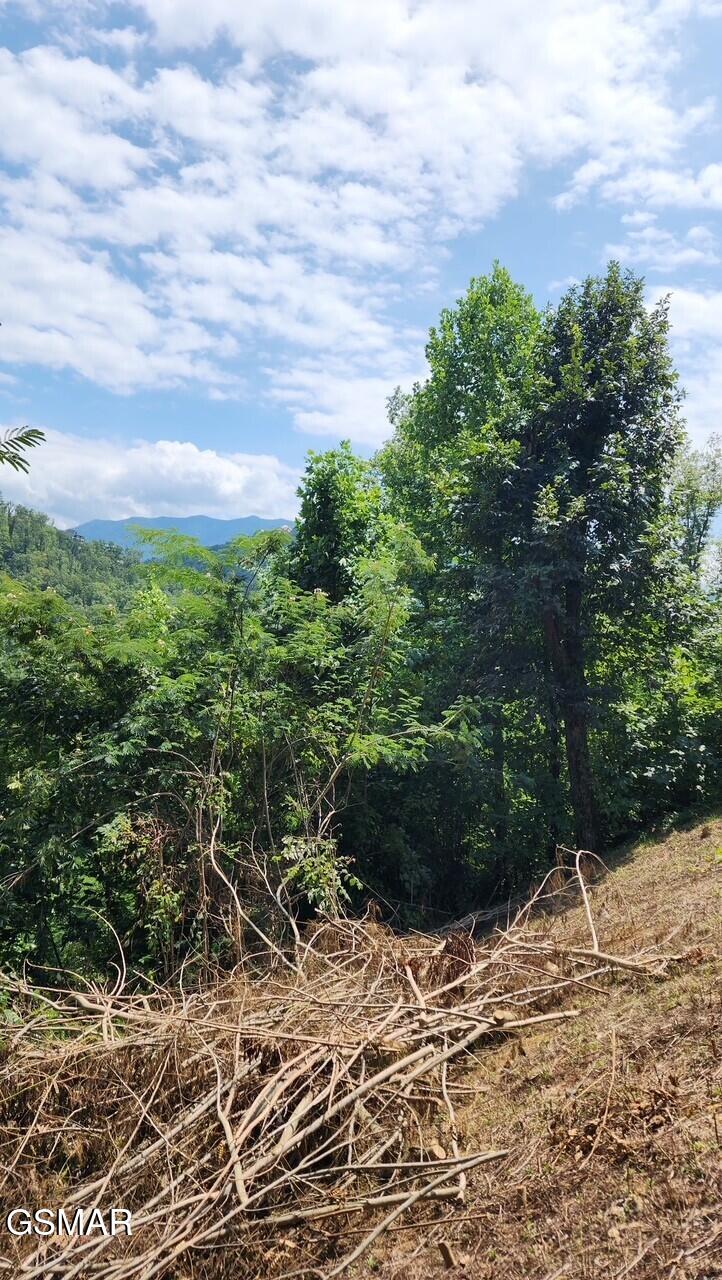 335 W Pinnacle Drive Gatlinburg TN 37738