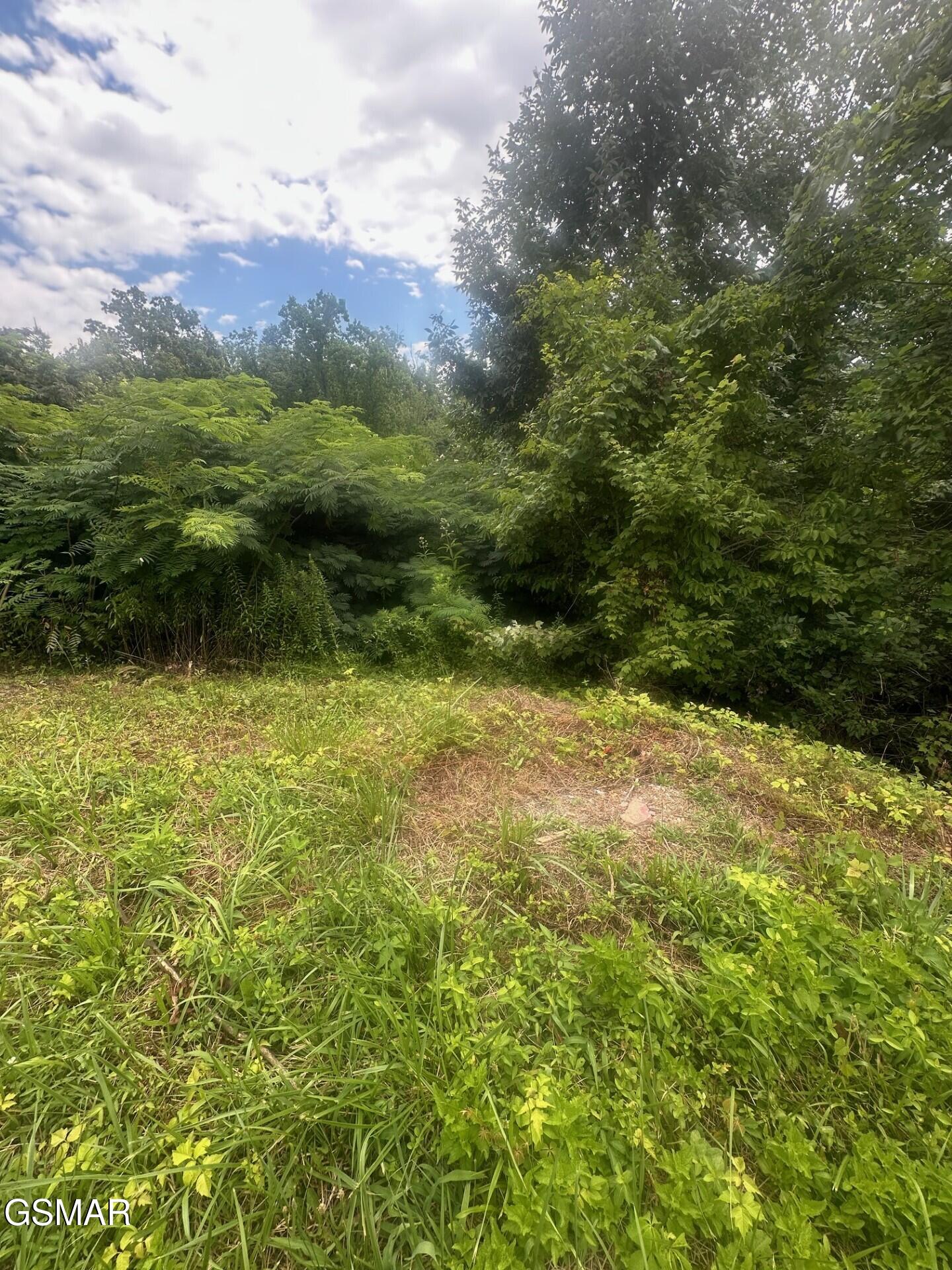 335 W Pinnacle Drive Gatlinburg TN 37738
