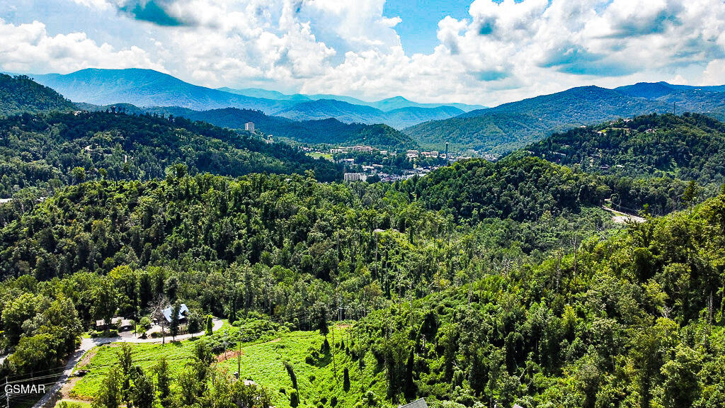335 W Pinnacle Drive Gatlinburg TN 37738