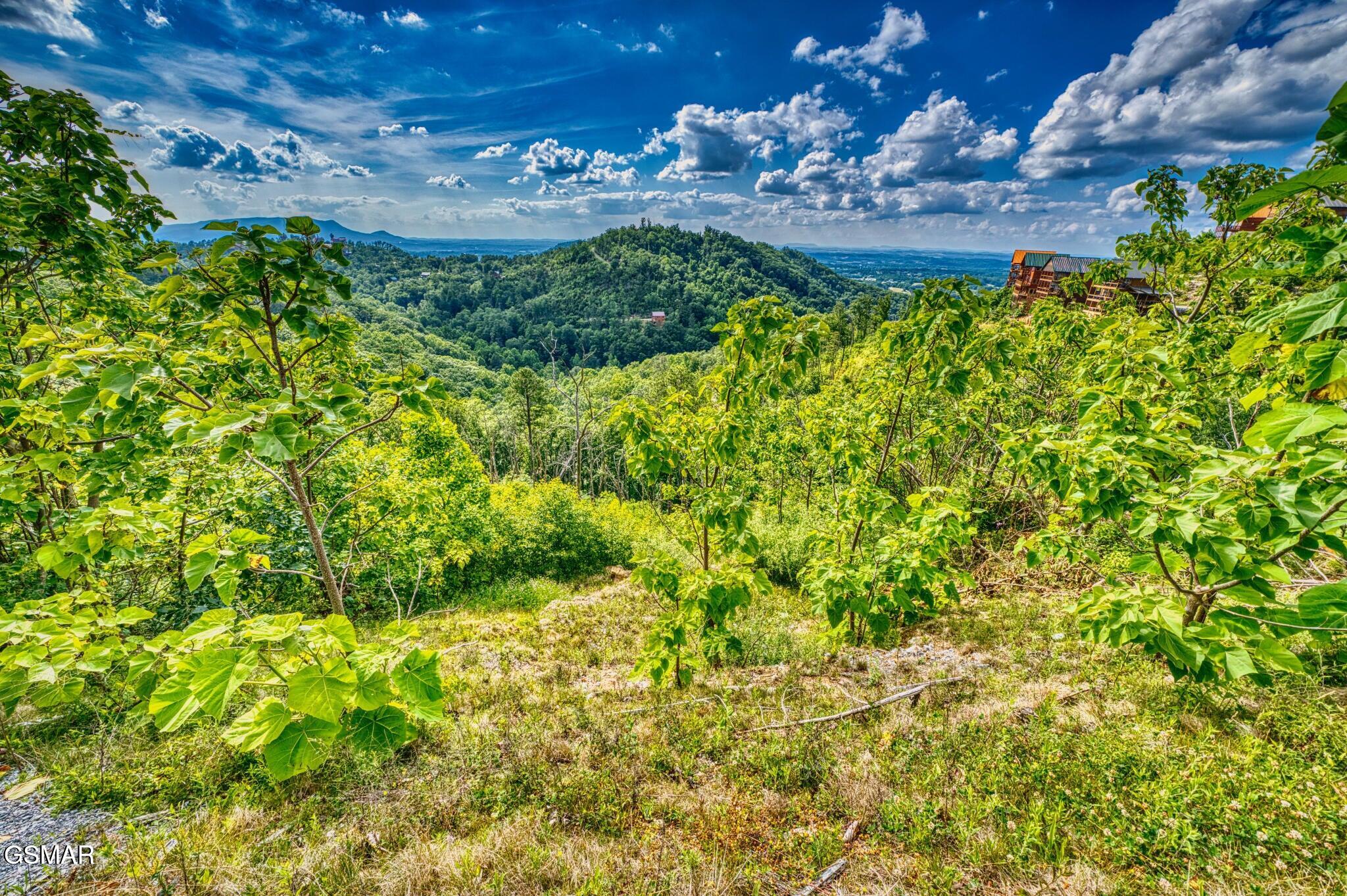 2109 Paradise View Way Sevierville TN 37876