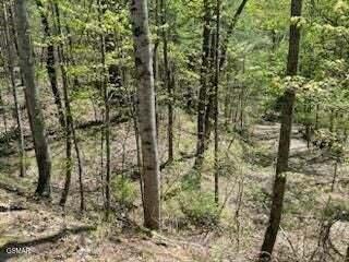 Lot 18 Castle Rise Way Sevierville TN 37862