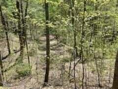 Lot 18 Castle Rise Way Sevierville TN 37862