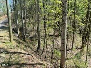 Lot 18 Castle Rise Way Sevierville TN 37862