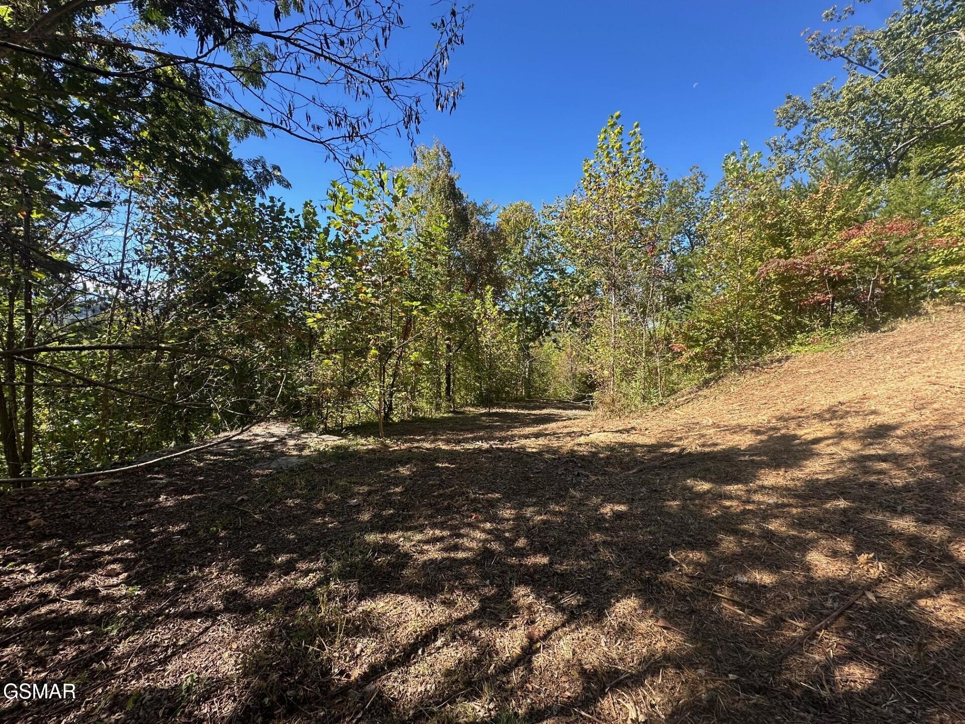 361 Oakwood Drive Sevierville TN 37876