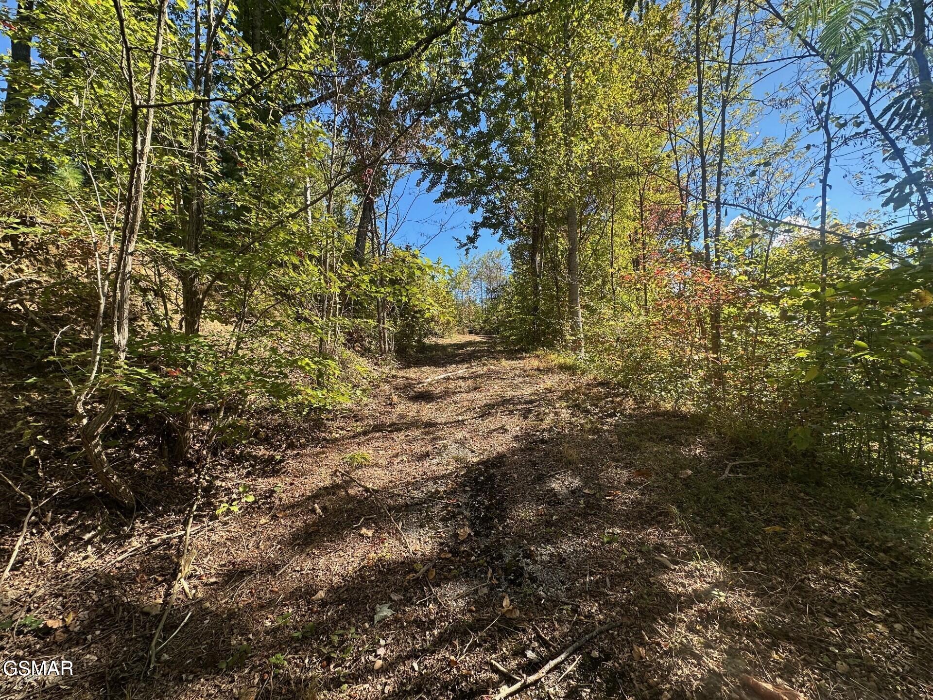 361 Oakwood Drive Sevierville TN 37876