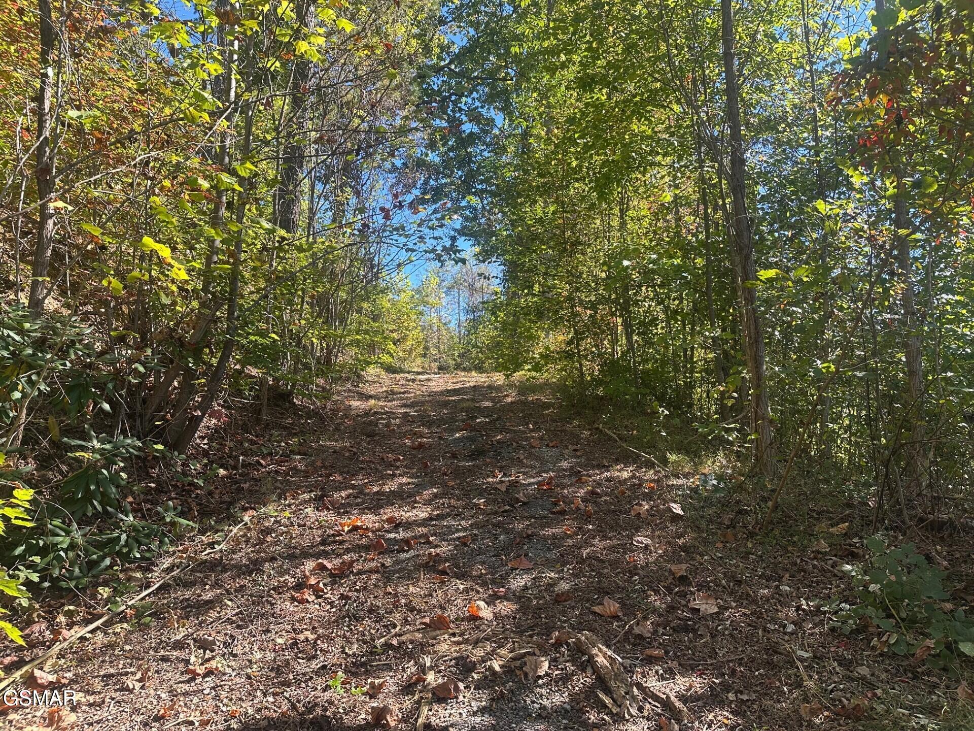 361 Oakwood Drive Sevierville TN 37876