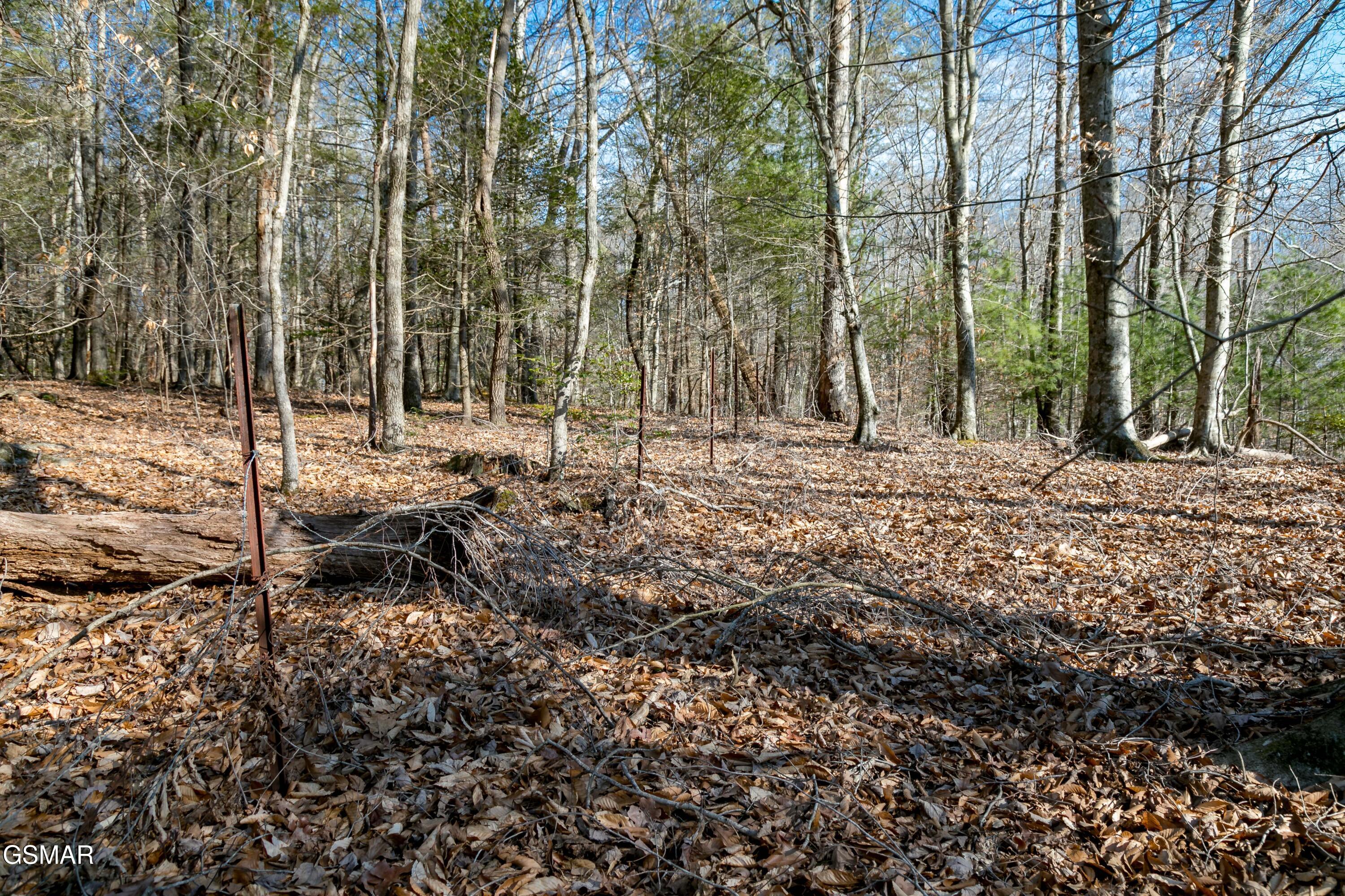 Lot 10 Tarwater Lane Sevierville TN 37862