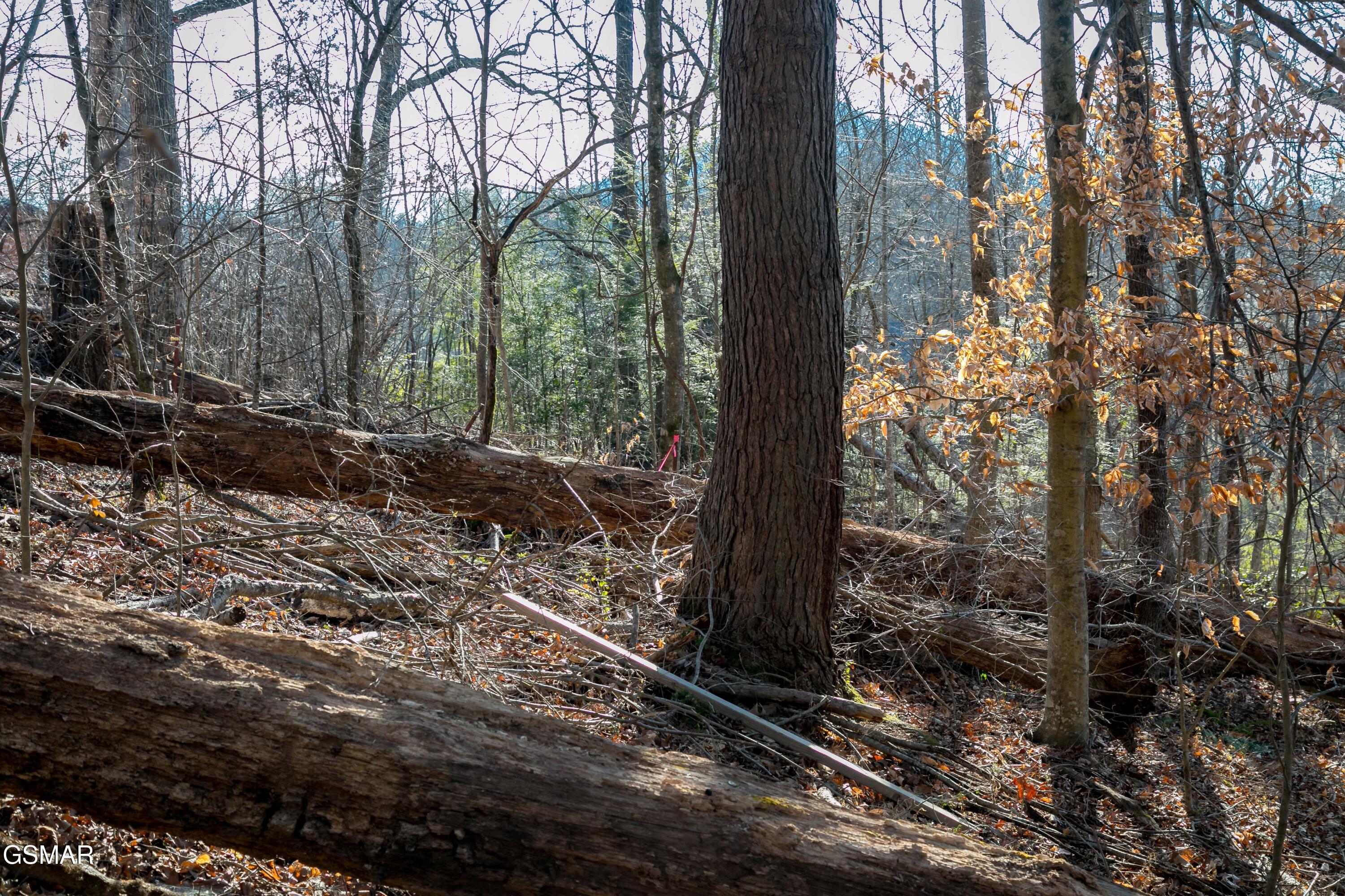 Lot 10 Tarwater Lane Sevierville TN 37862