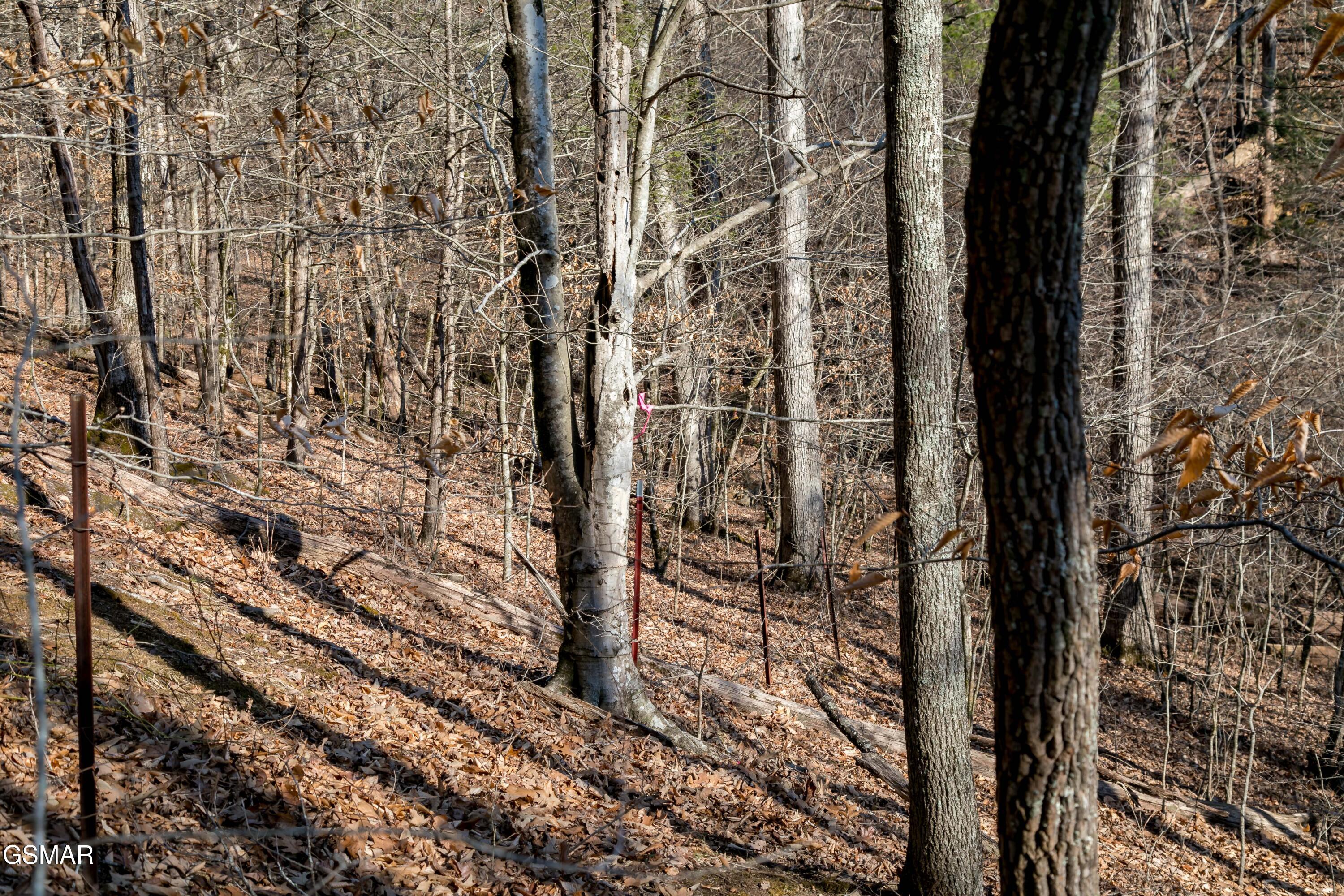 Lot 10 Tarwater Lane Sevierville TN 37862