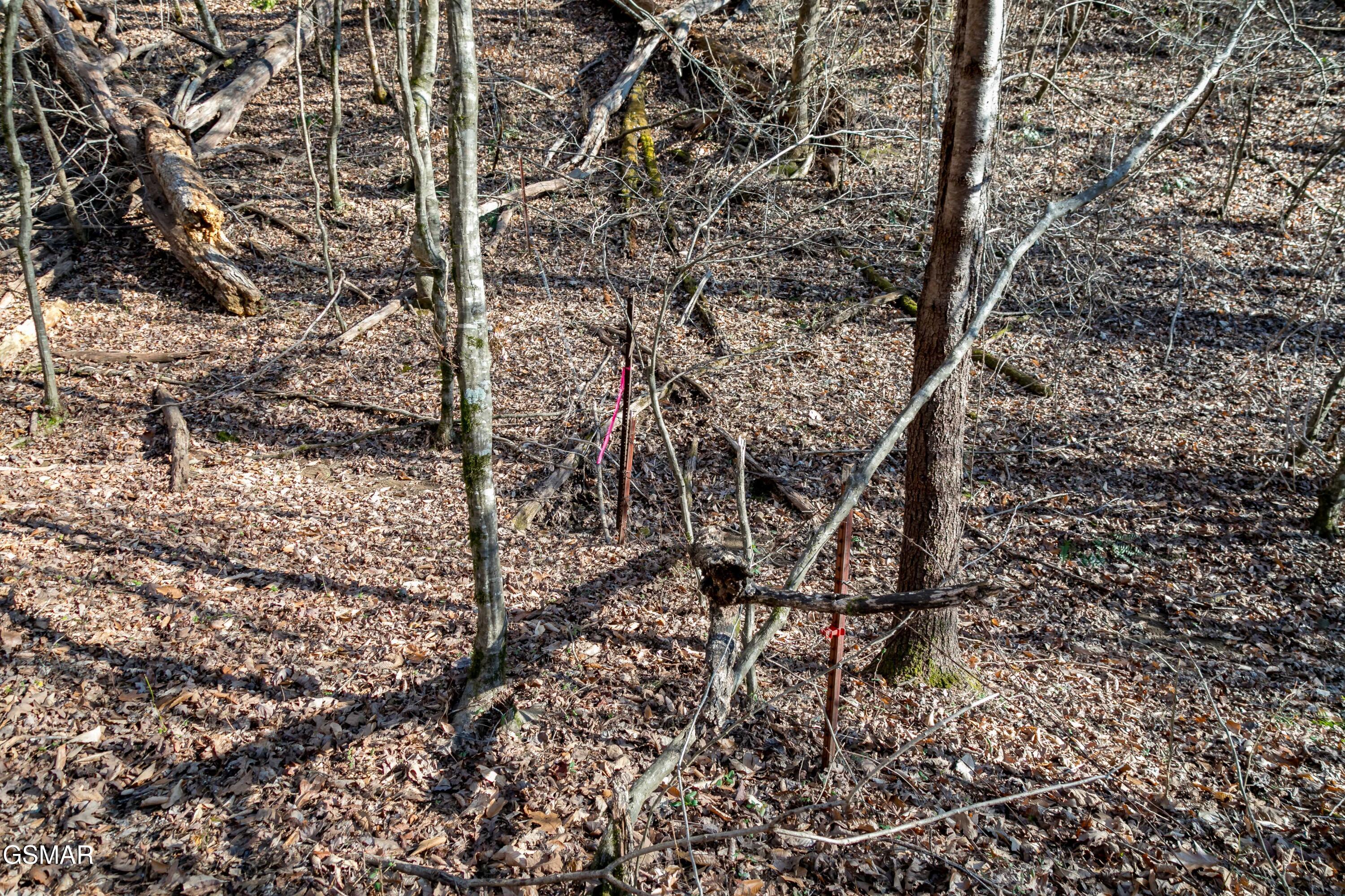 Lot 10 Tarwater Lane Sevierville TN 37862