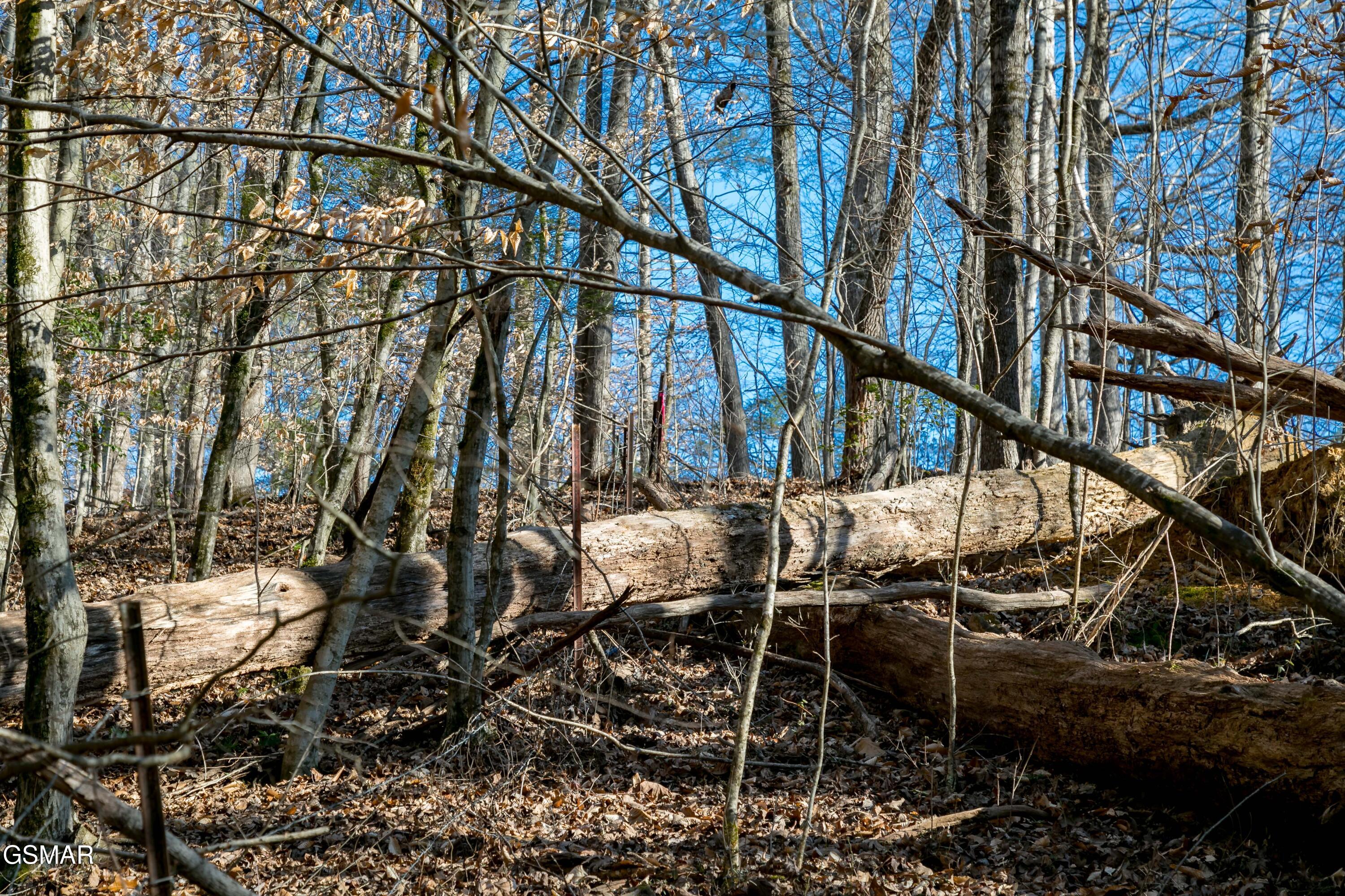 Lot 10 Tarwater Lane Sevierville TN 37862