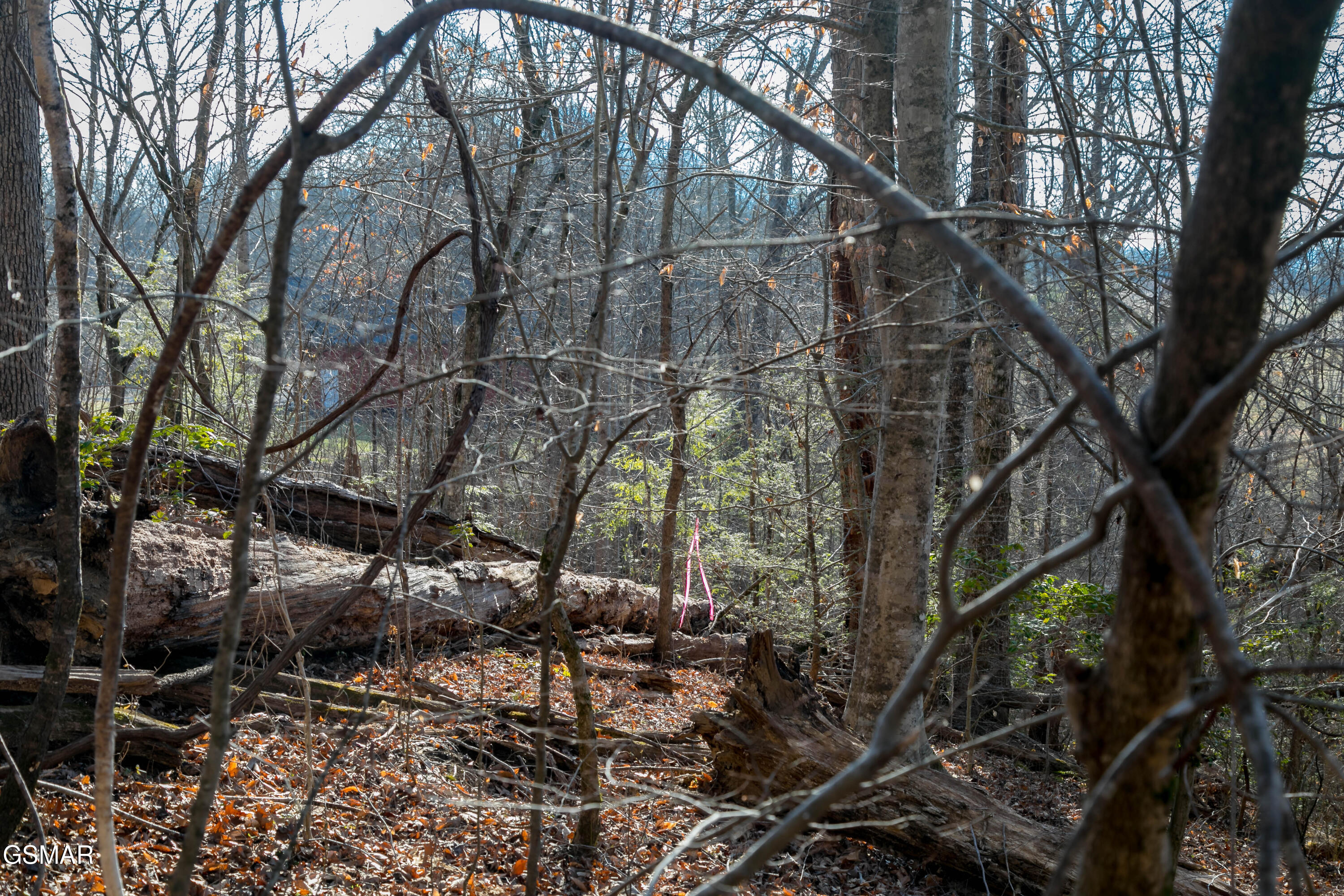 Lot 10 Tarwater Lane Sevierville TN 37862