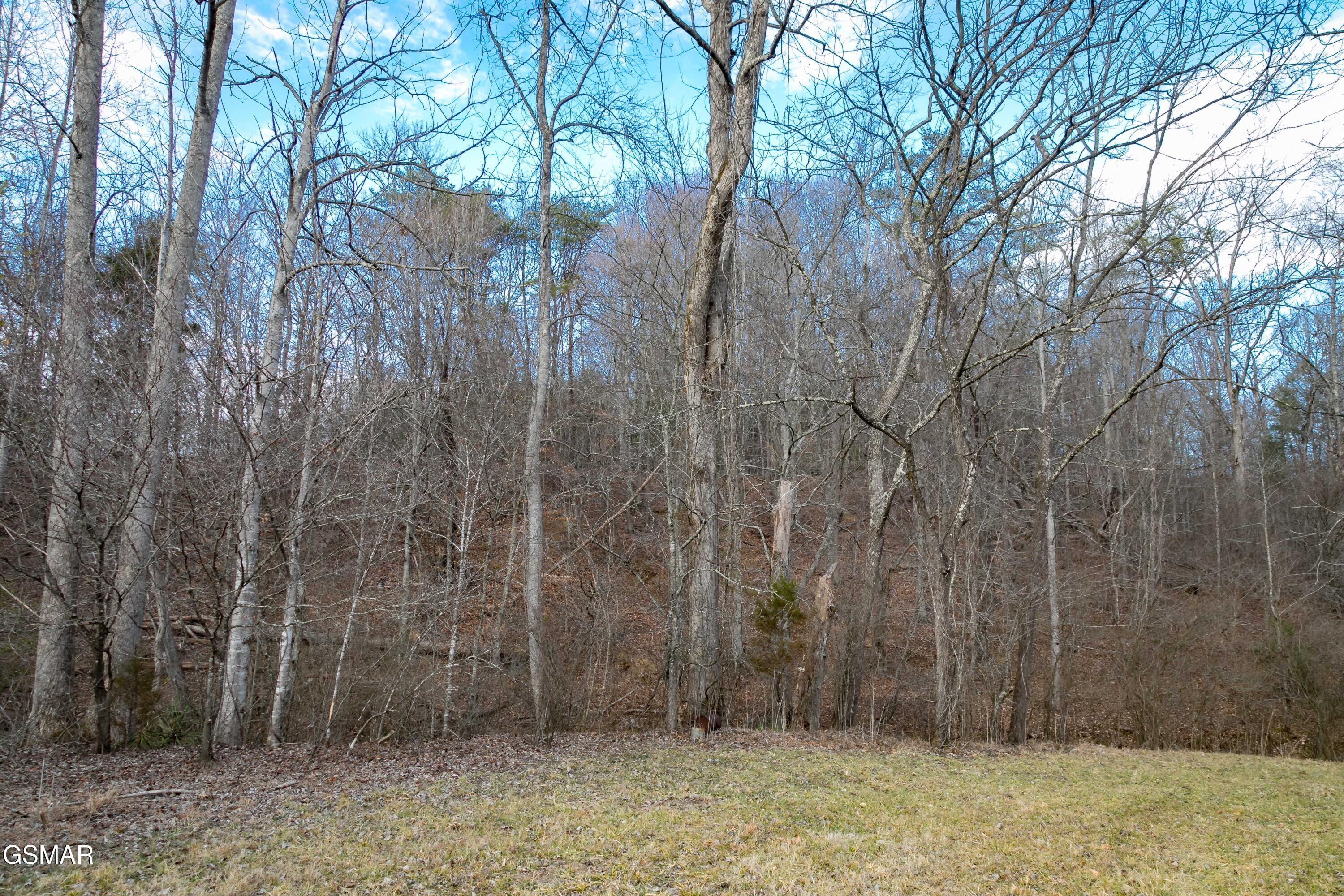 Lot 10 Tarwater Lane Sevierville TN 37862