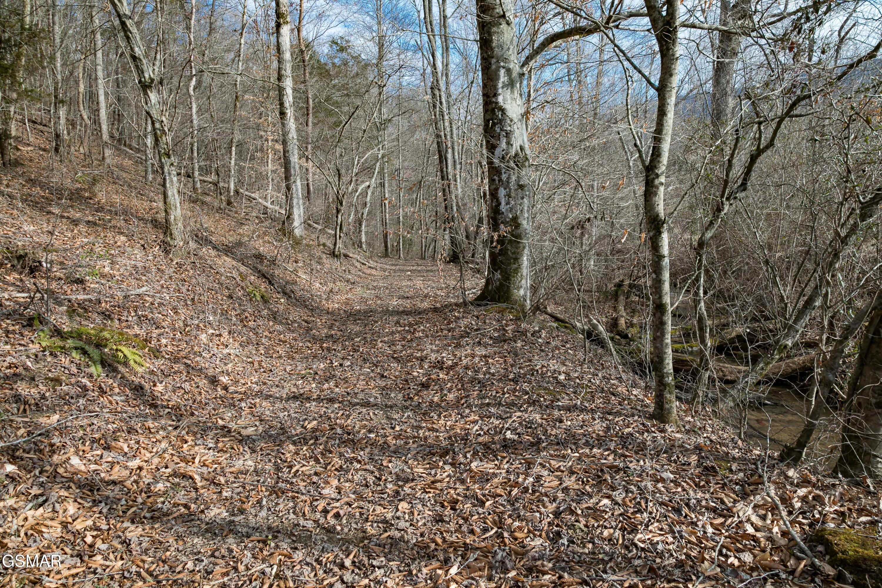 Lot 10 Tarwater Lane Sevierville TN 37862