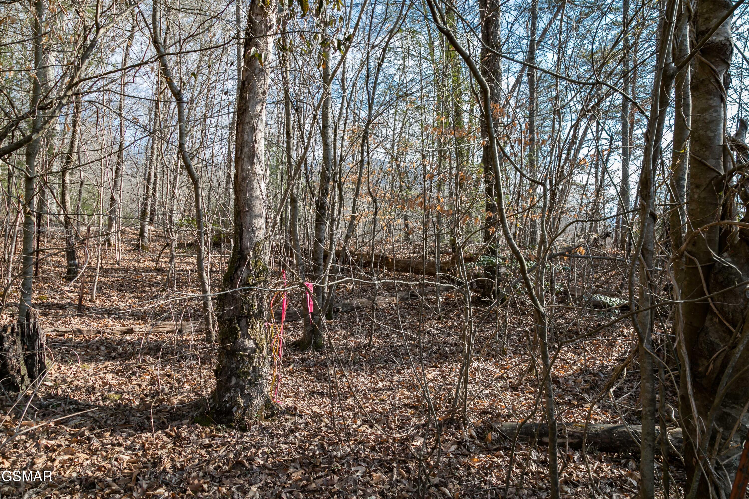 Lot 10 Tarwater Lane Sevierville TN 37862