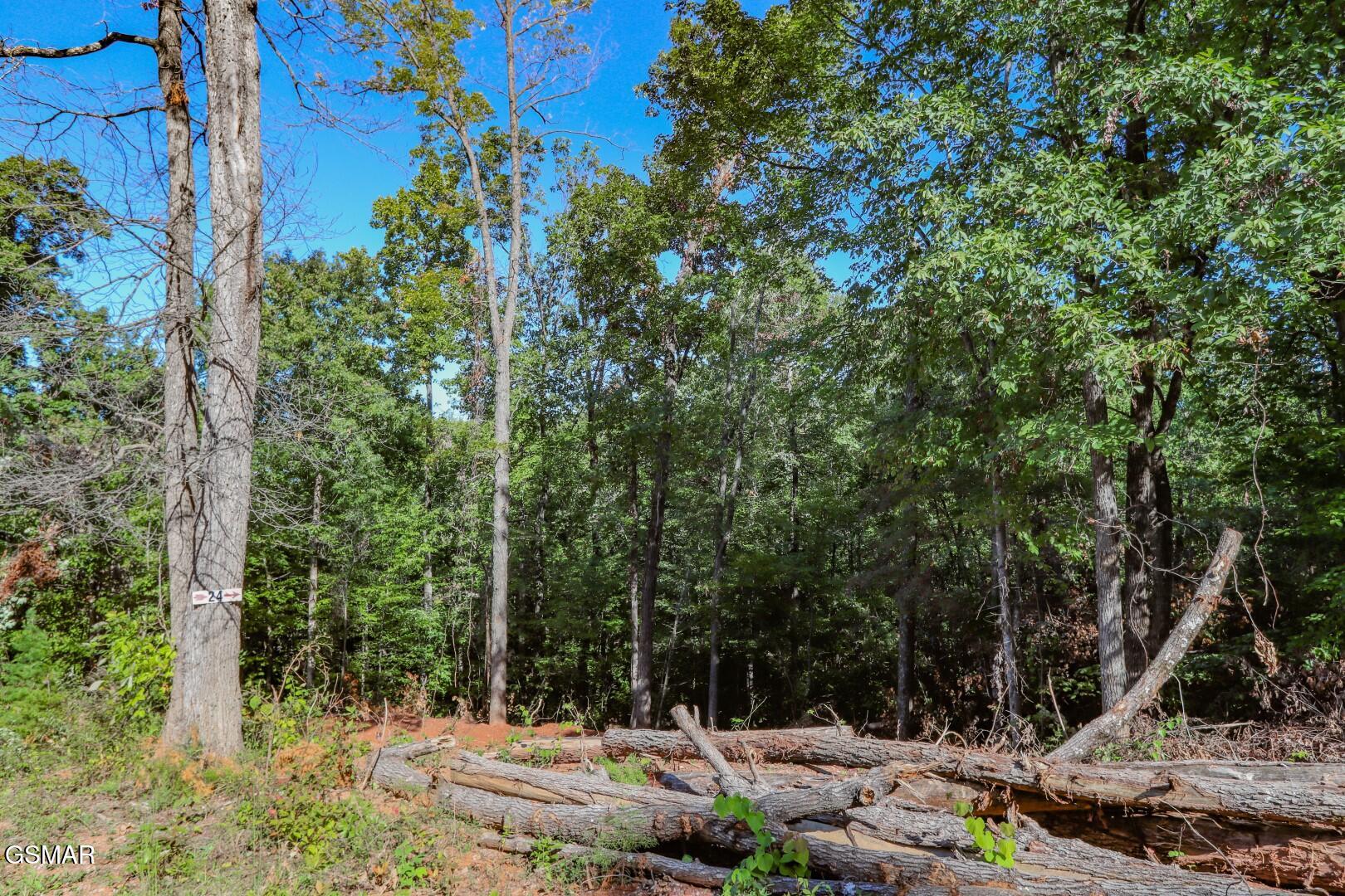 1282 Applewood Road Newport TN 37821