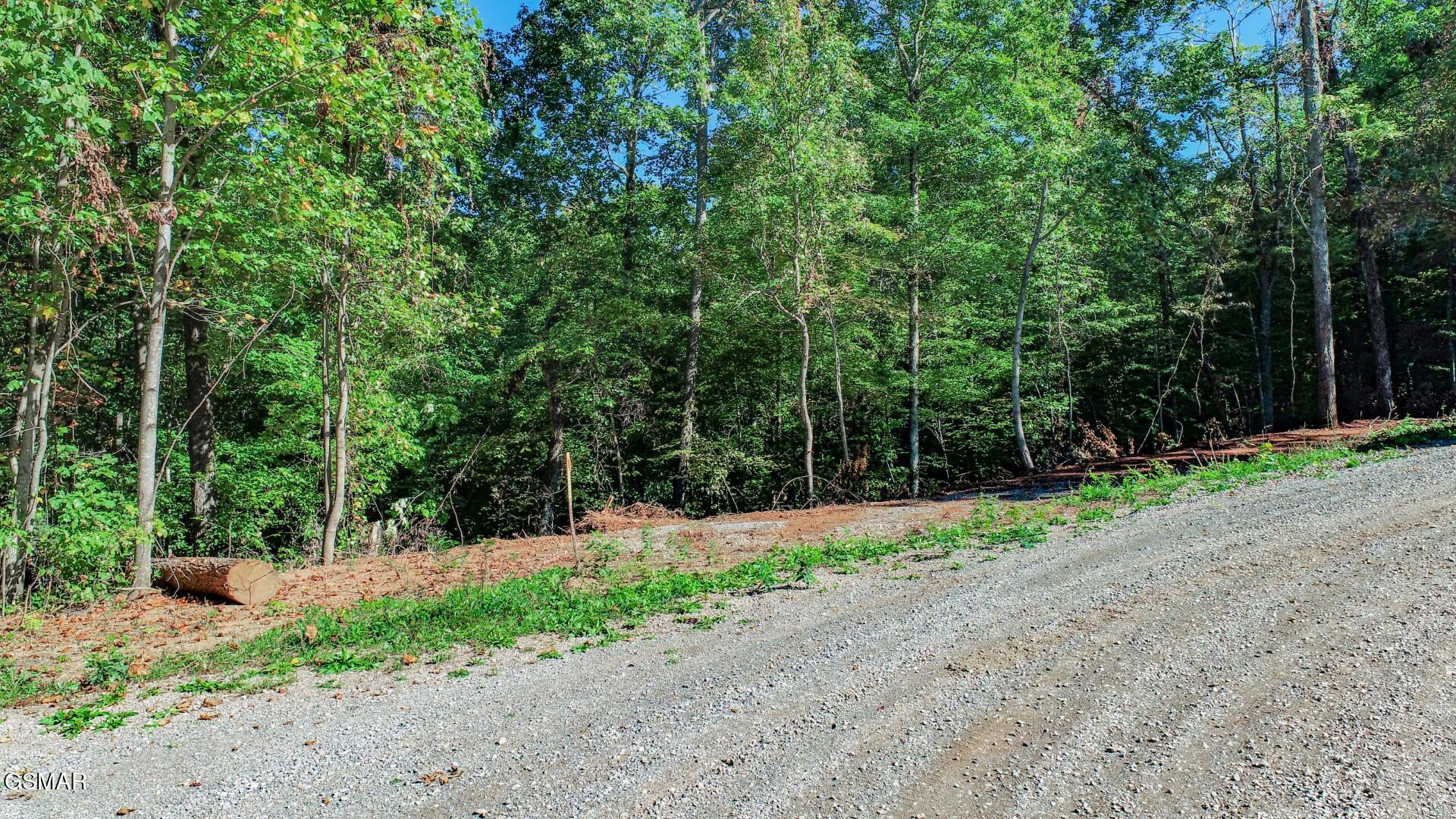 1282 Applewood Road Newport TN 37821