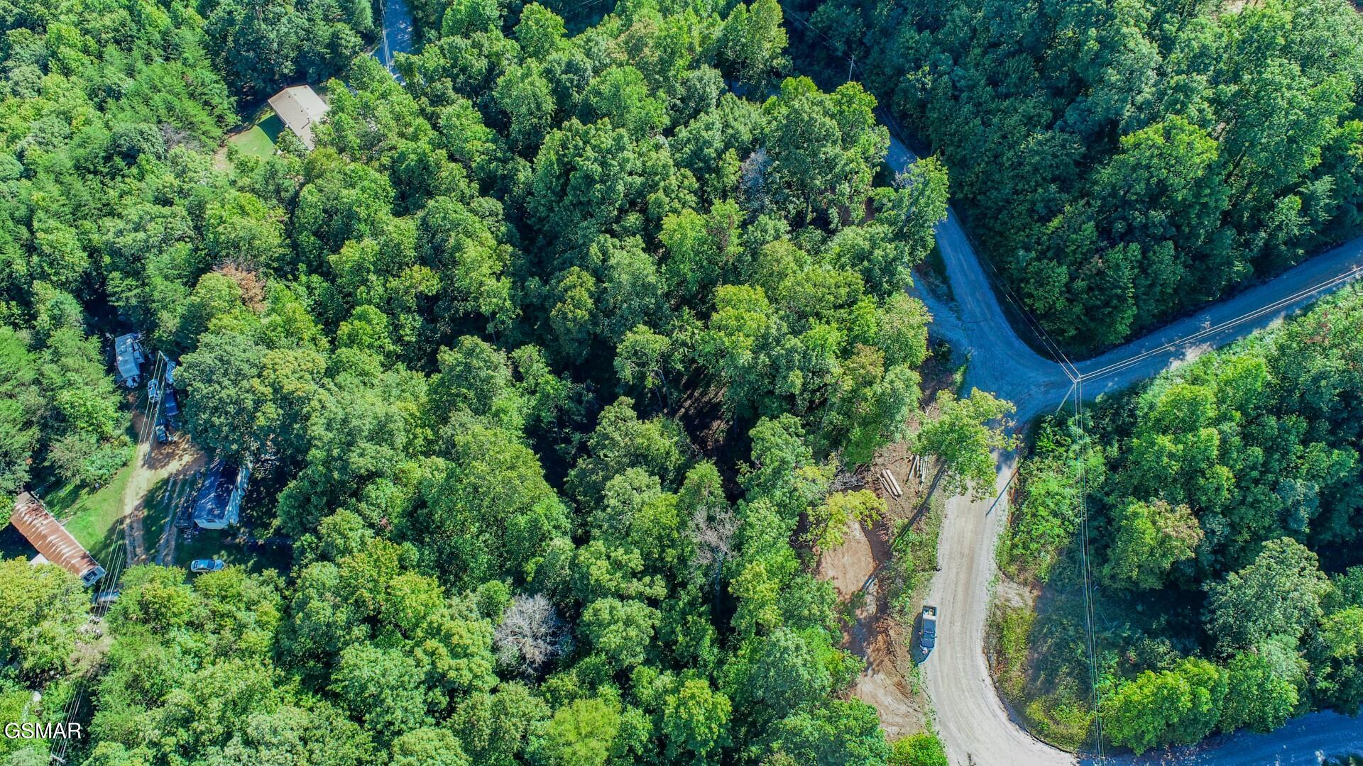 1282 Applewood Road Newport TN 37821