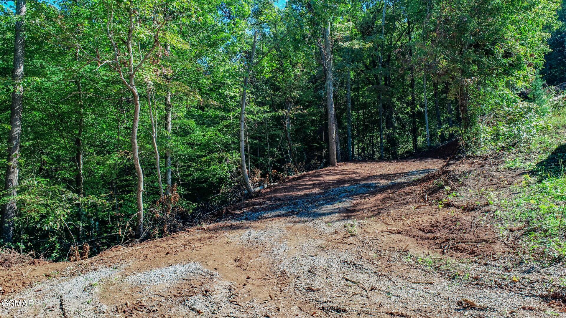 1282 Applewood Road Newport TN 37821