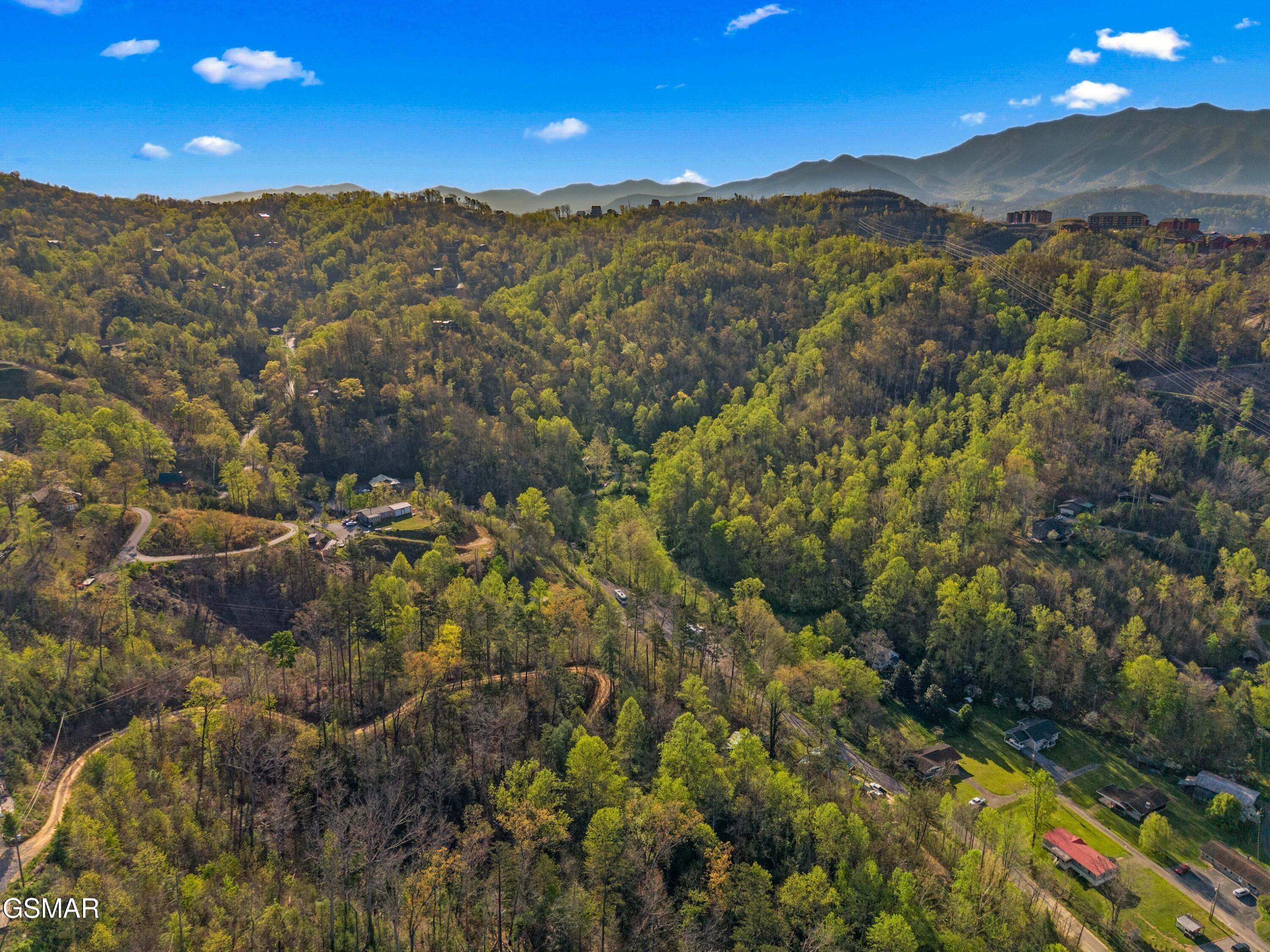 264 Beech Branch Road Gatlinburg TN 37738