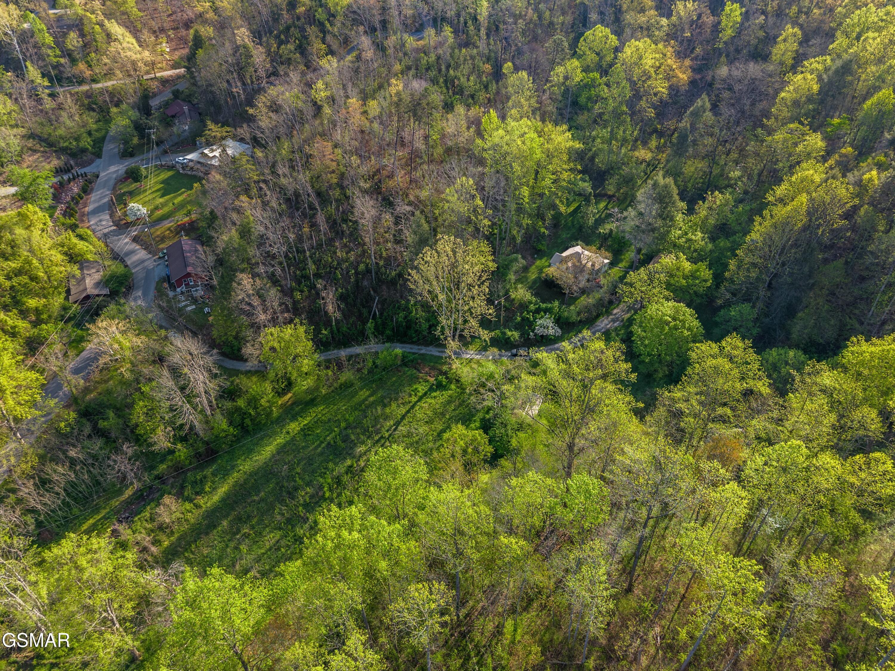 264 Beech Branch Road Gatlinburg TN 37738