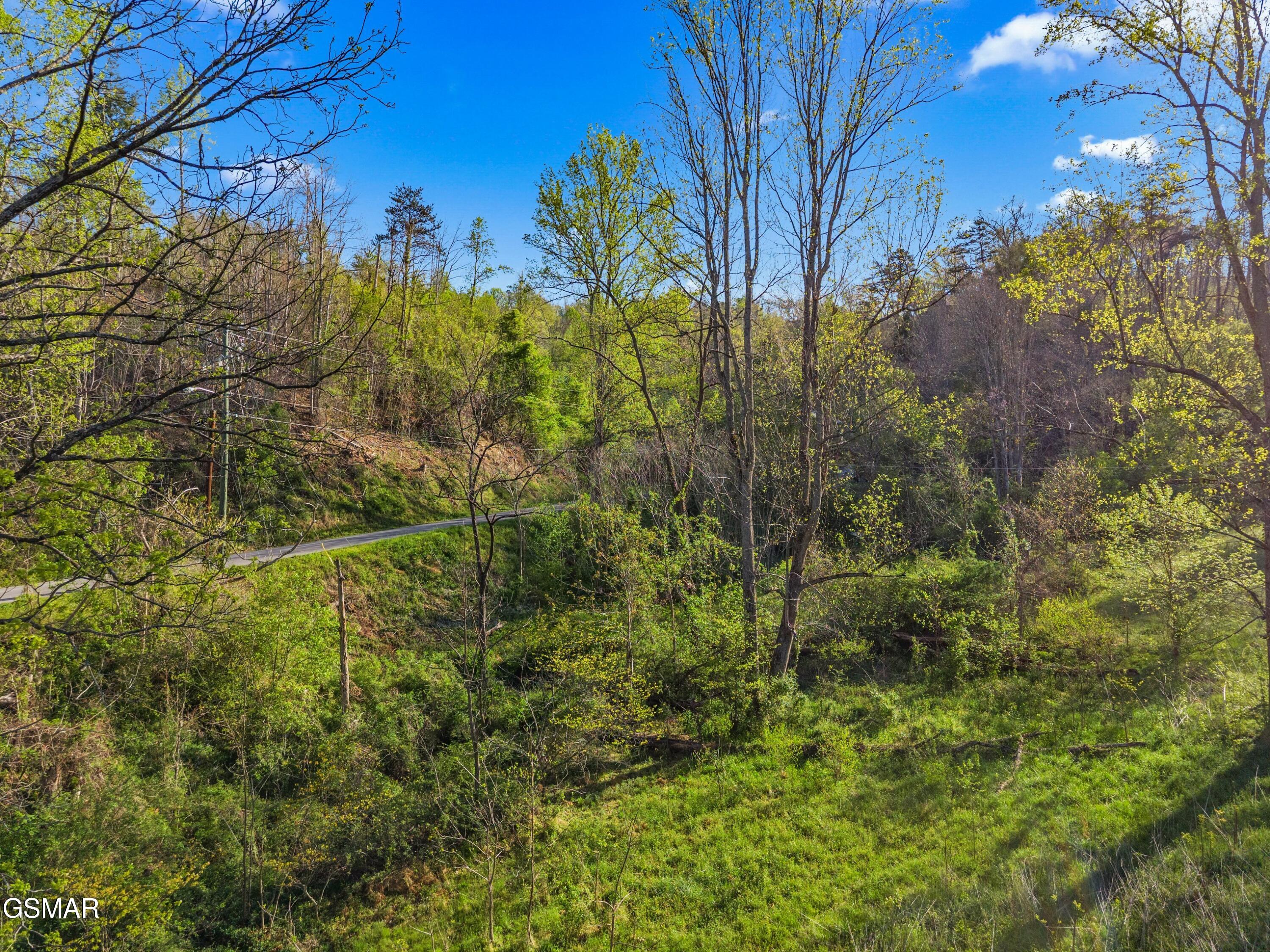 264 Beech Branch Road Gatlinburg TN 37738