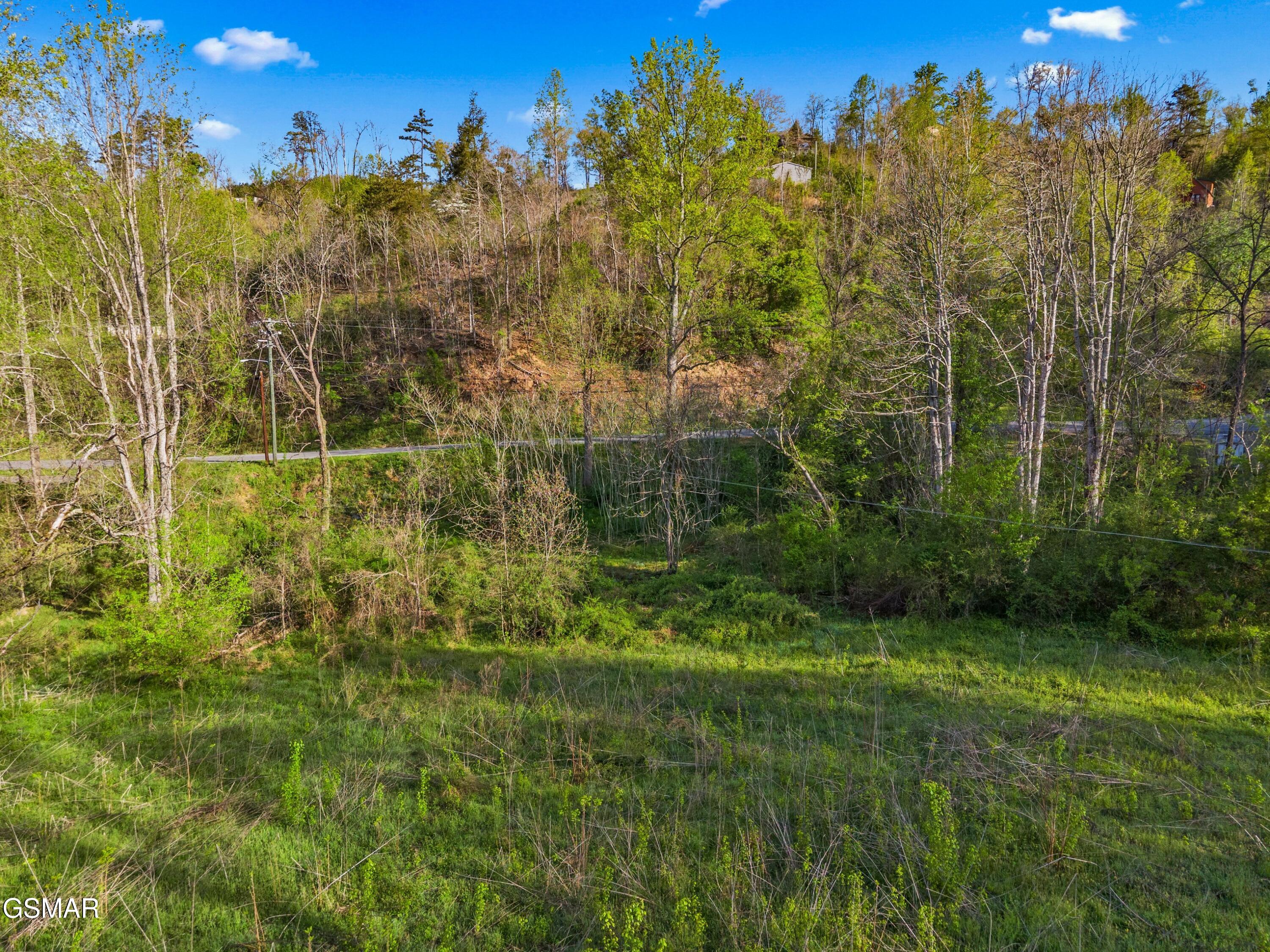 264 Beech Branch Road Gatlinburg TN 37738