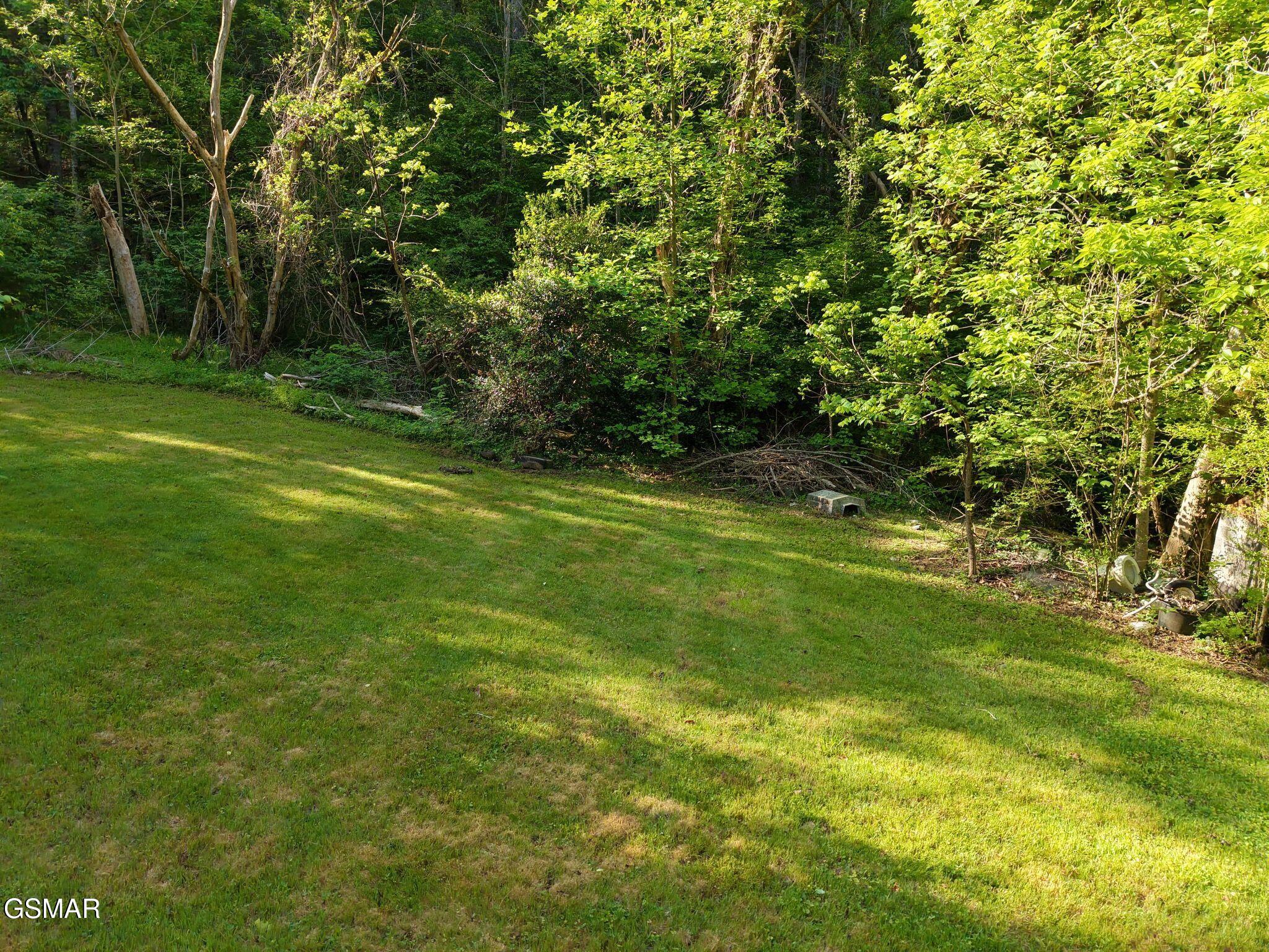 264 Beech Branch Road Gatlinburg TN 37738