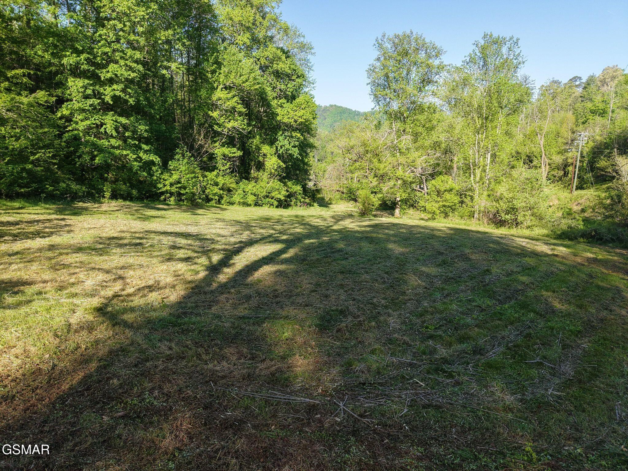 264 Beech Branch Road Gatlinburg TN 37738