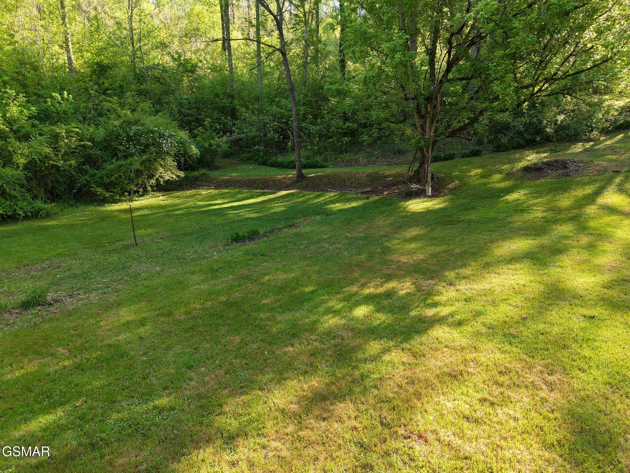 264 Beech Branch Road Gatlinburg TN 37738