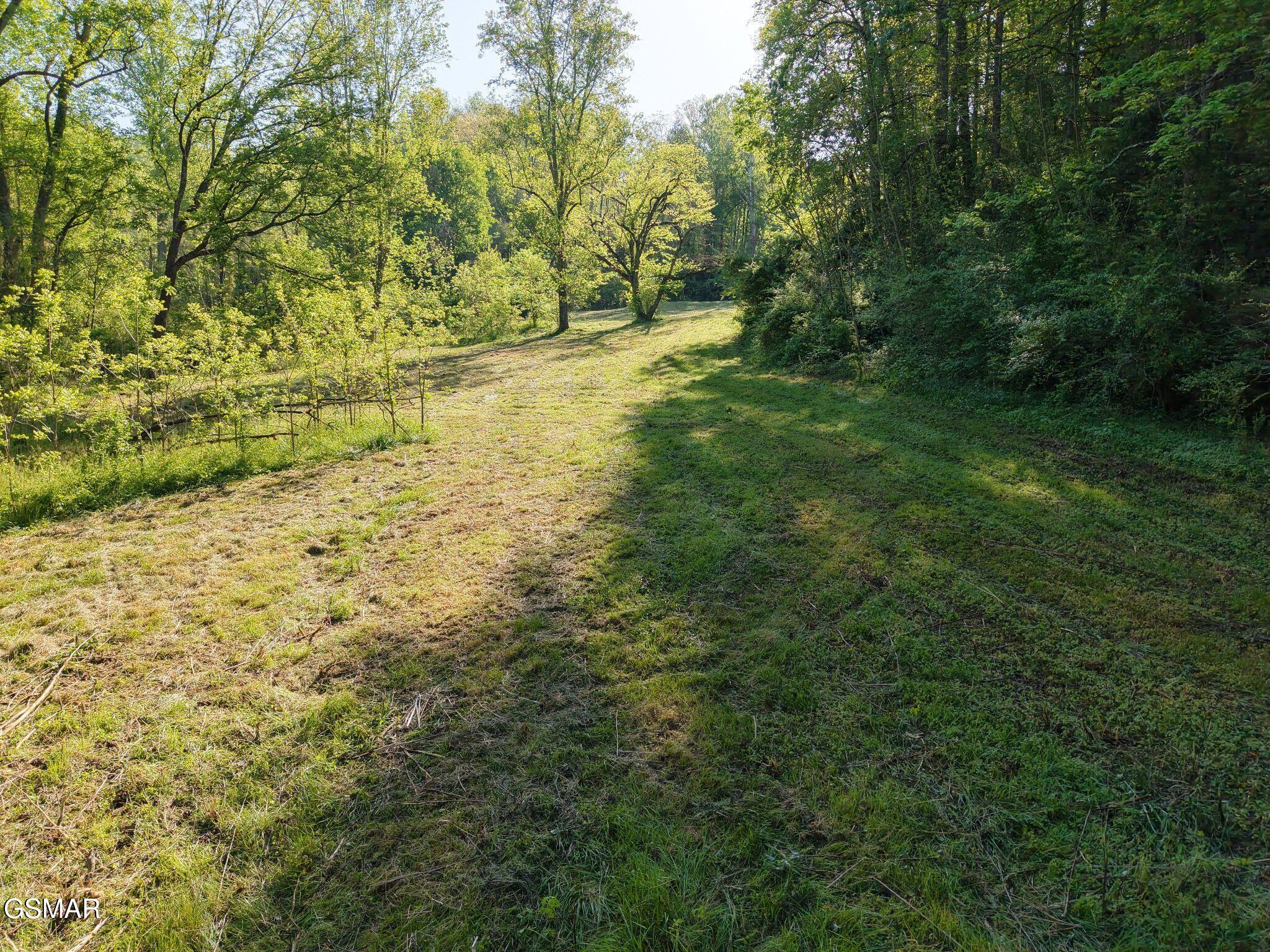 264 Beech Branch Road Gatlinburg TN 37738