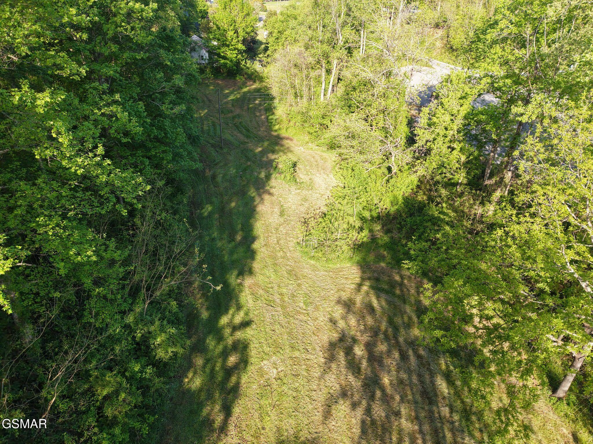 264 Beech Branch Road Gatlinburg TN 37738