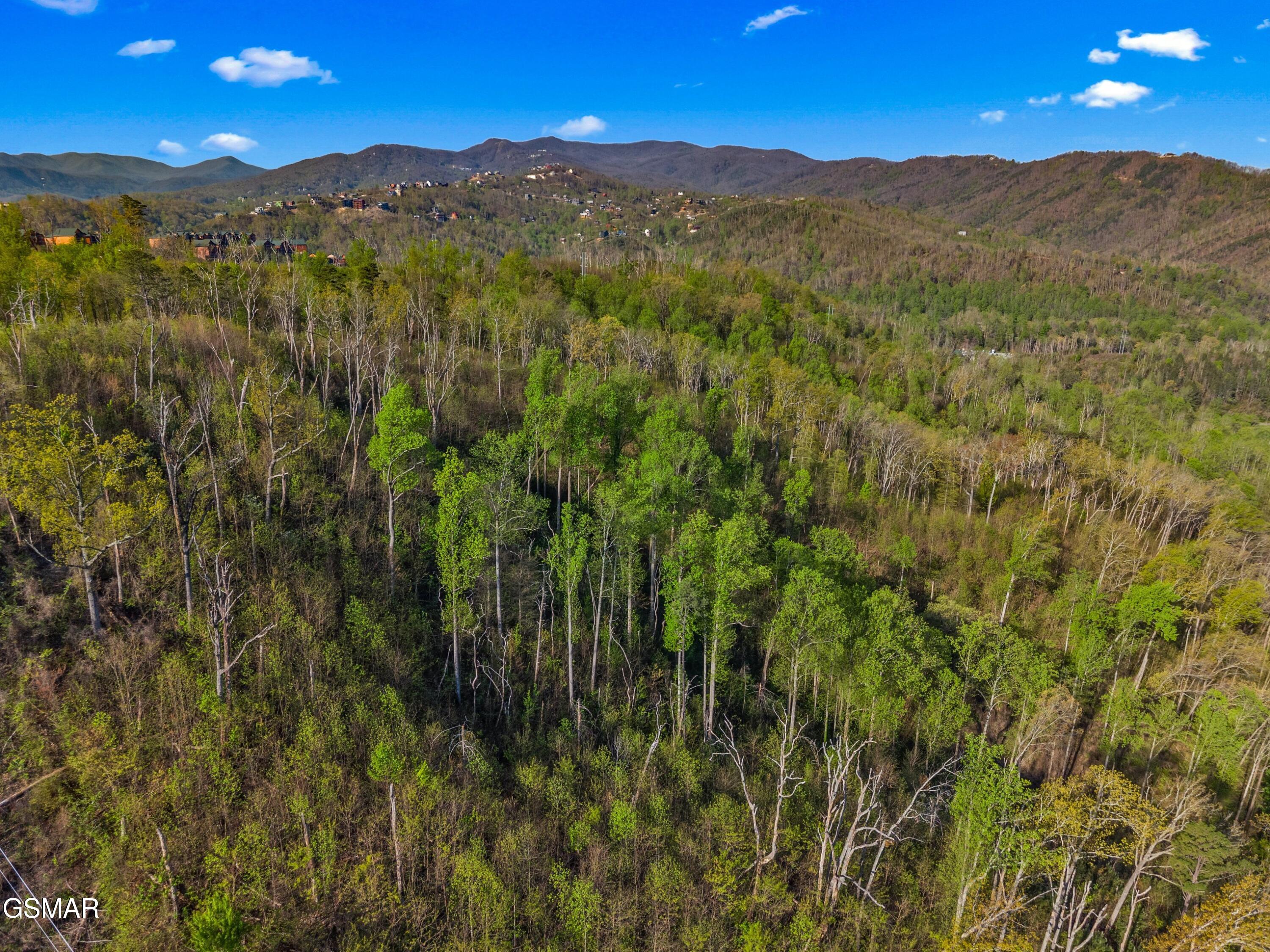 264 Beech Branch Road Gatlinburg TN 37738