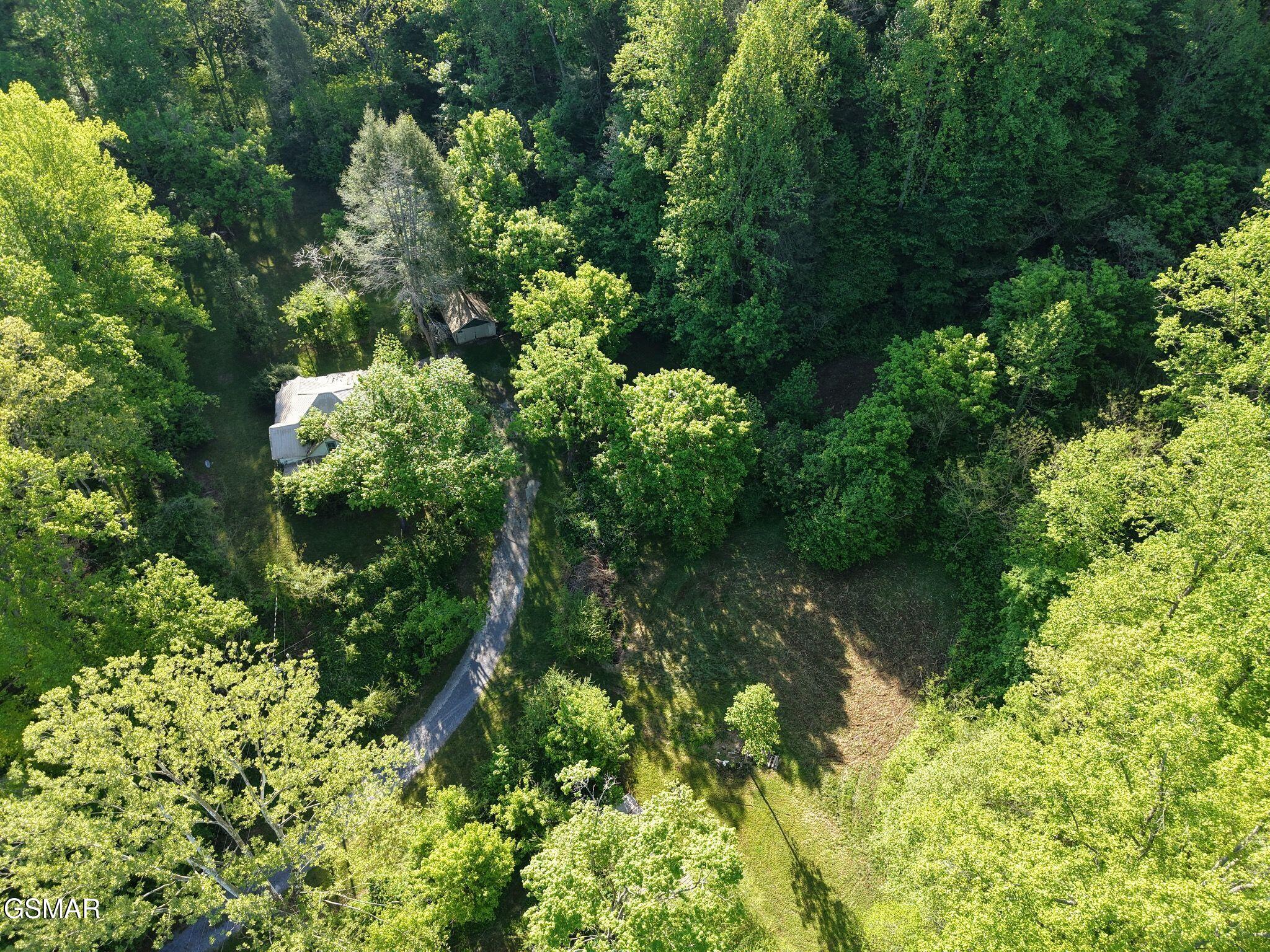264 Beech Branch Road Gatlinburg TN 37738