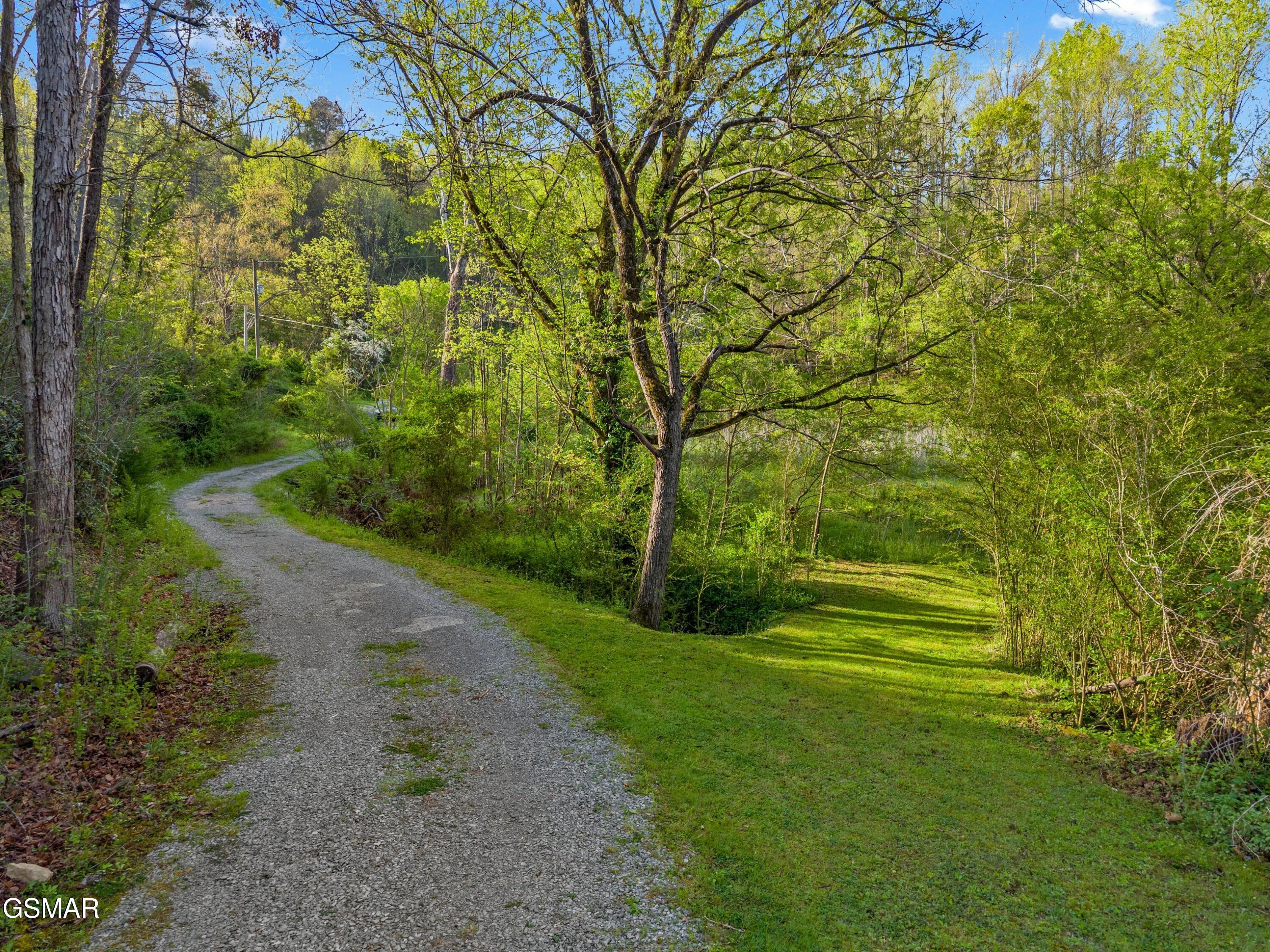 264 Beech Branch Road Gatlinburg TN 37738