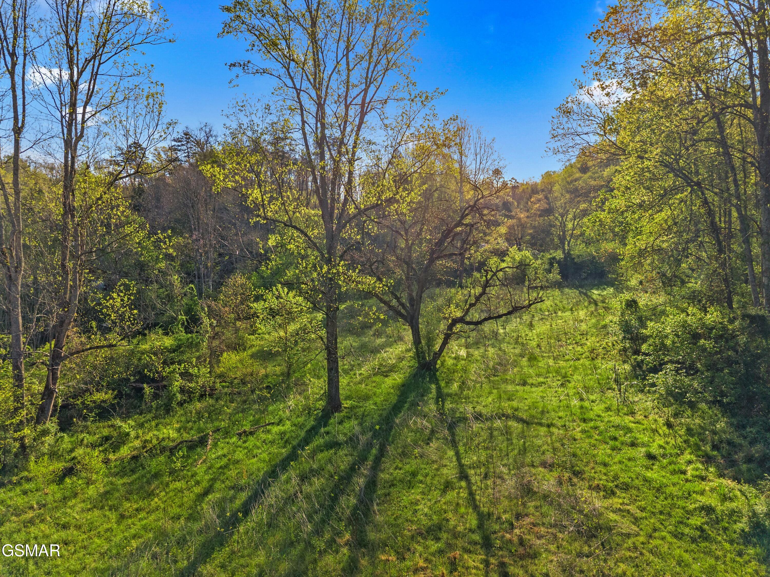 264 Beech Branch Road Gatlinburg TN 37738
