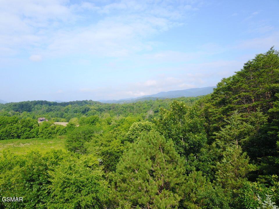 0 Easy Street Sevierville TN 37862
